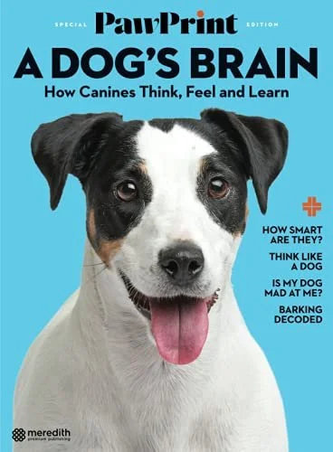 PawPrint Dog's Brain.jpg