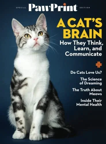 PawPrint Inside a Cat's Brain.jpg