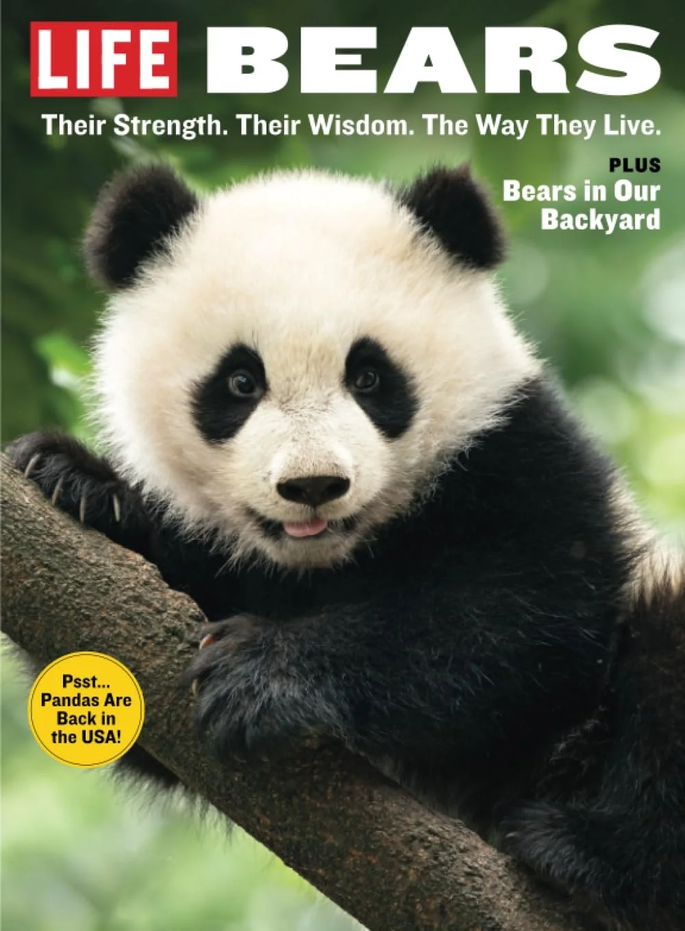 LIFE Bears.jpg