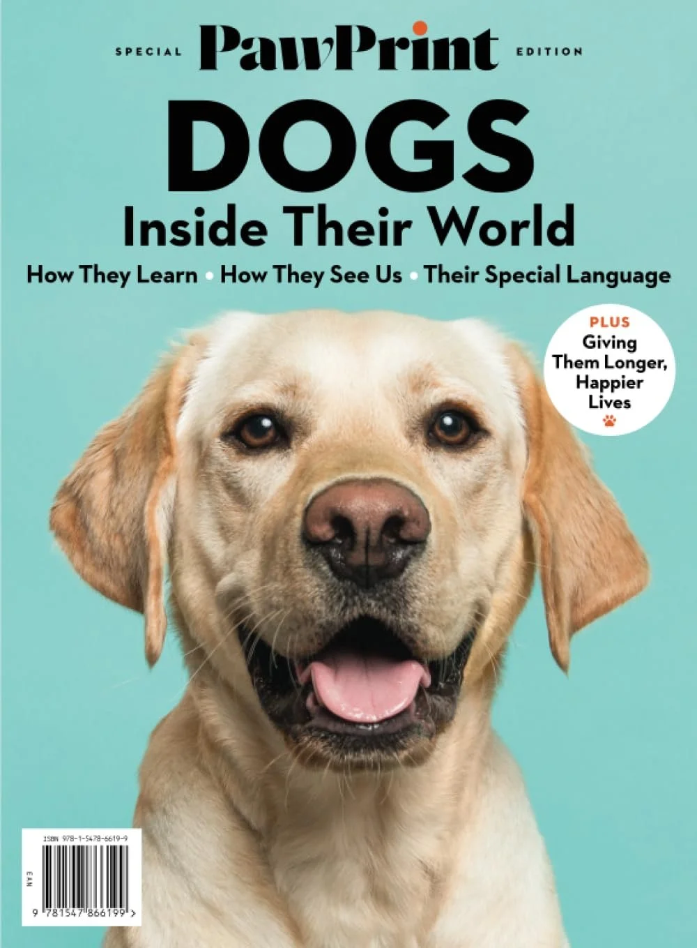 Dogs inside their world.jpg