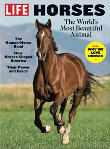 horses.jpg