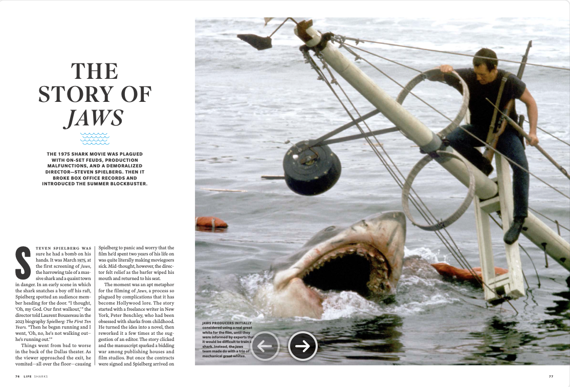 Screenshot 2025-11-04 at 5.08.46 PM.png