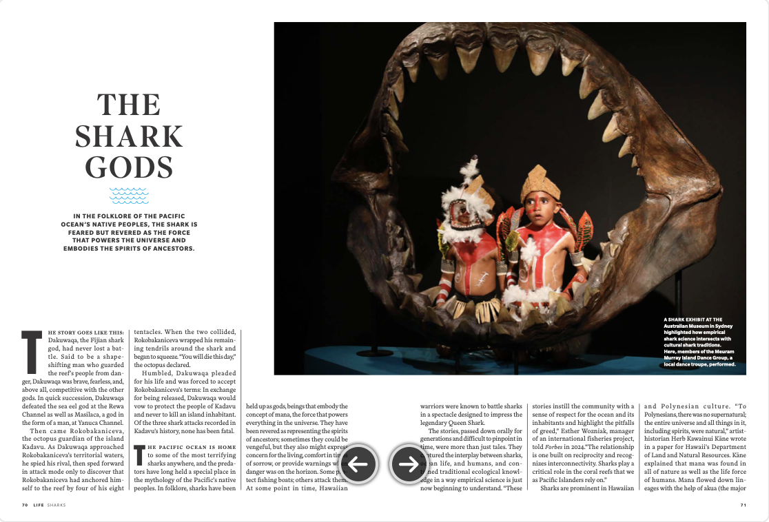 Screenshot 2025-11-04 at 5.08.12 PM.png