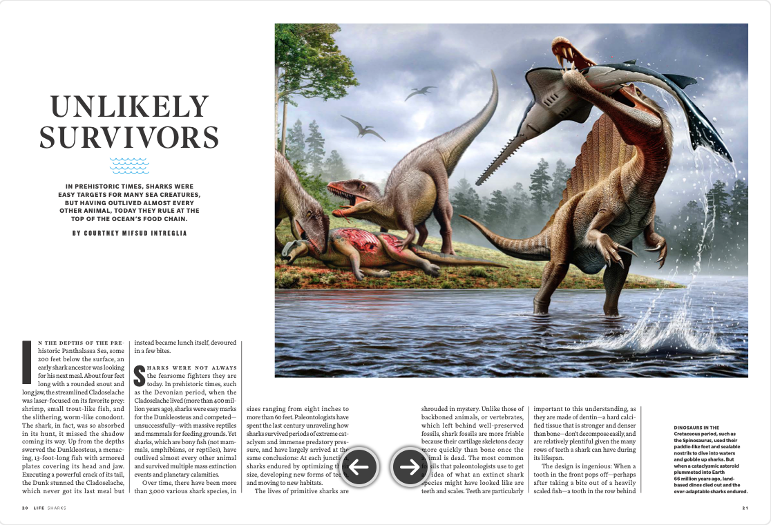 Screenshot 2025-11-04 at 5.08.21 PM.png