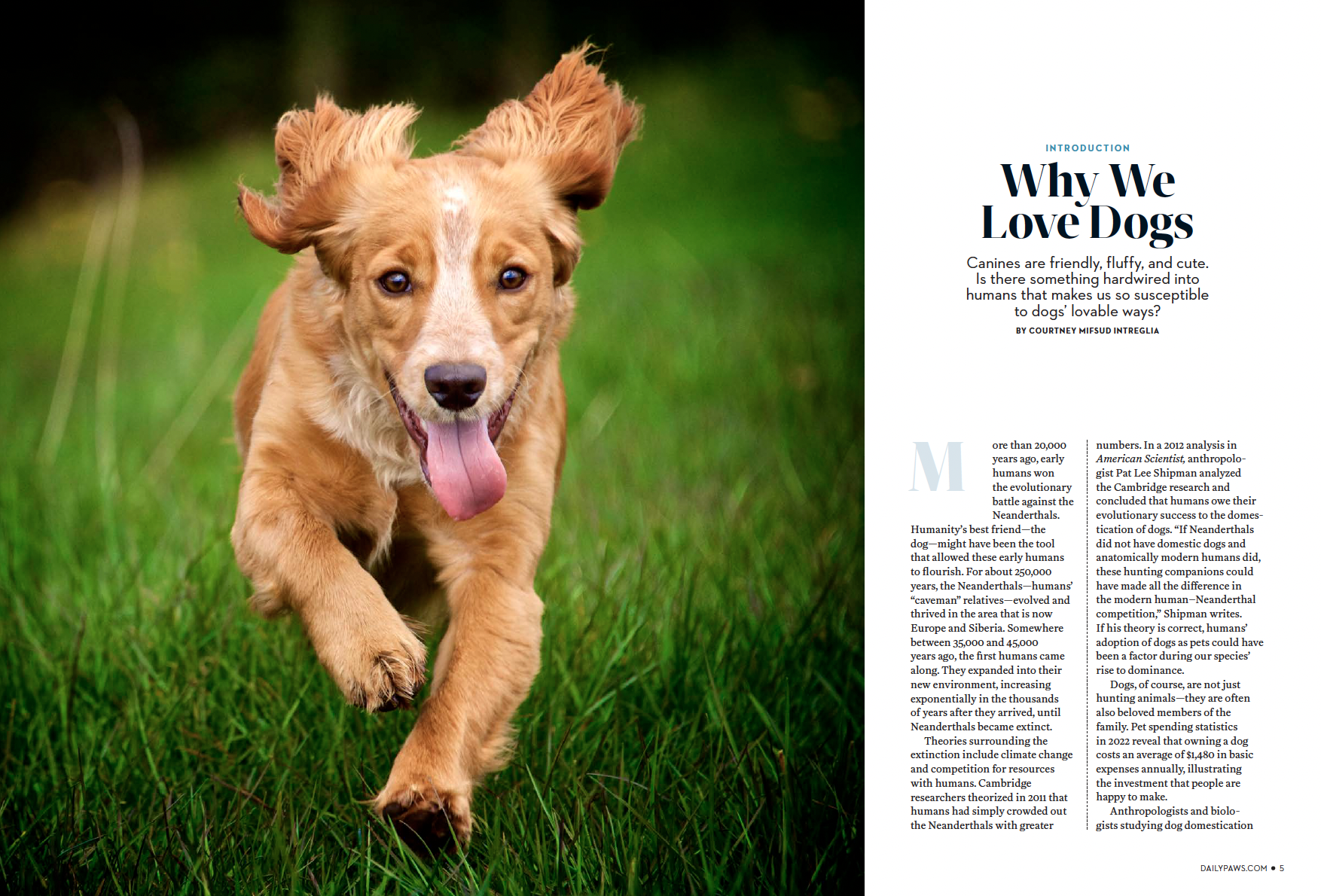 Screen Shot 2023-01-18 at 1.46.07 PM.png