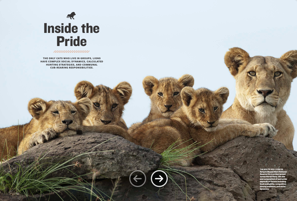 Screenshot 2025-02-05 at 2.13.44 PM.png