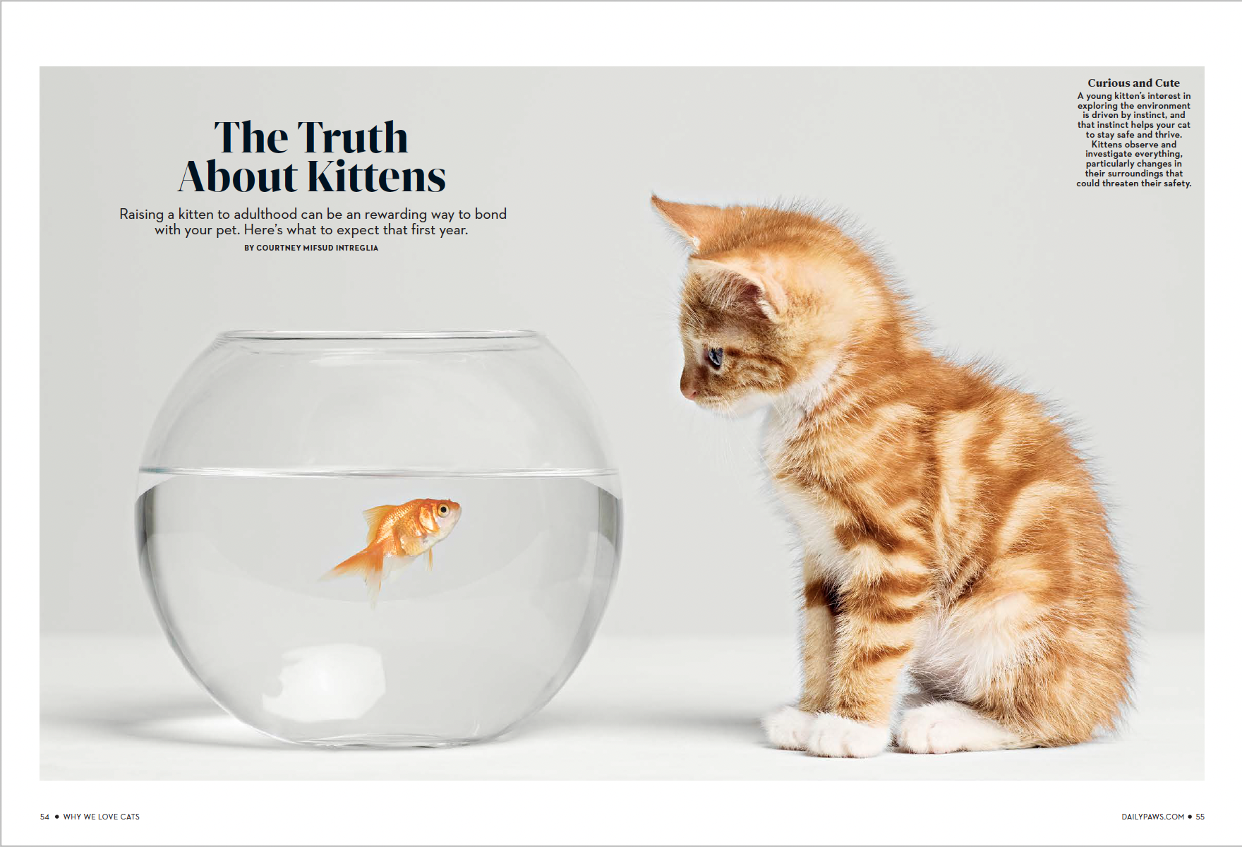 Screen Shot 2023-01-18 at 1.46.43 PM.png