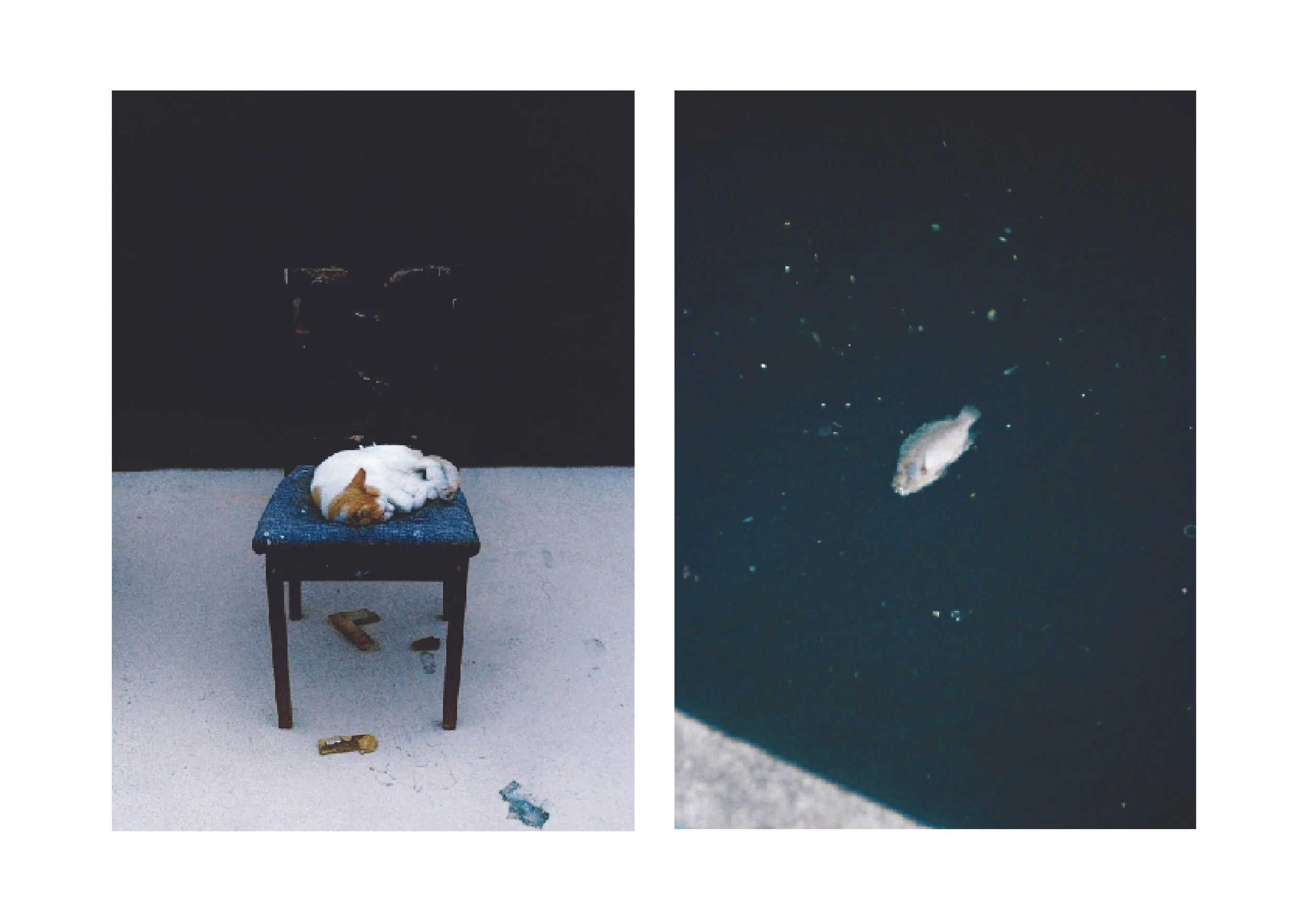 Shit East Asia ROUGH DRAFT-08.jpg