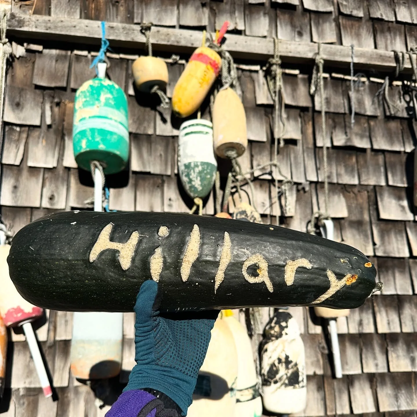 move over monogrammed tote bags, personalized, hand carved zucchini are the new must have💁🏻&zwj;♀️

My mom has grown a Hillary zucchini for me since before I can even remember, one of my favorite late season treats 😆🥰🙃