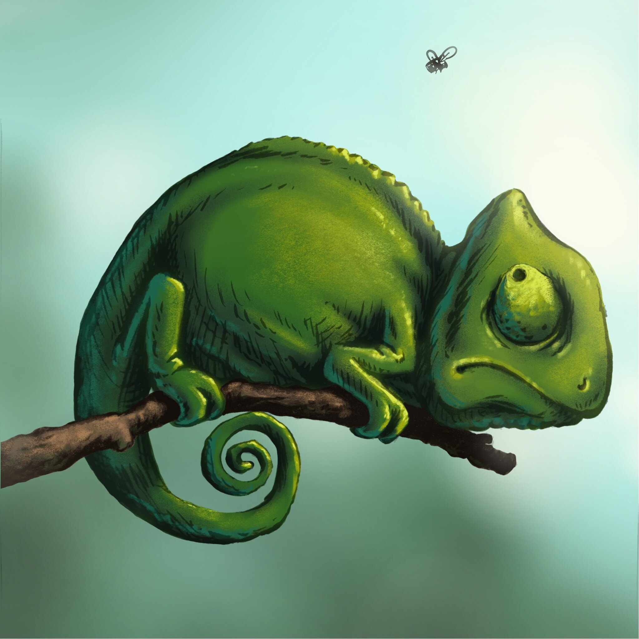 Chameleon.jpg