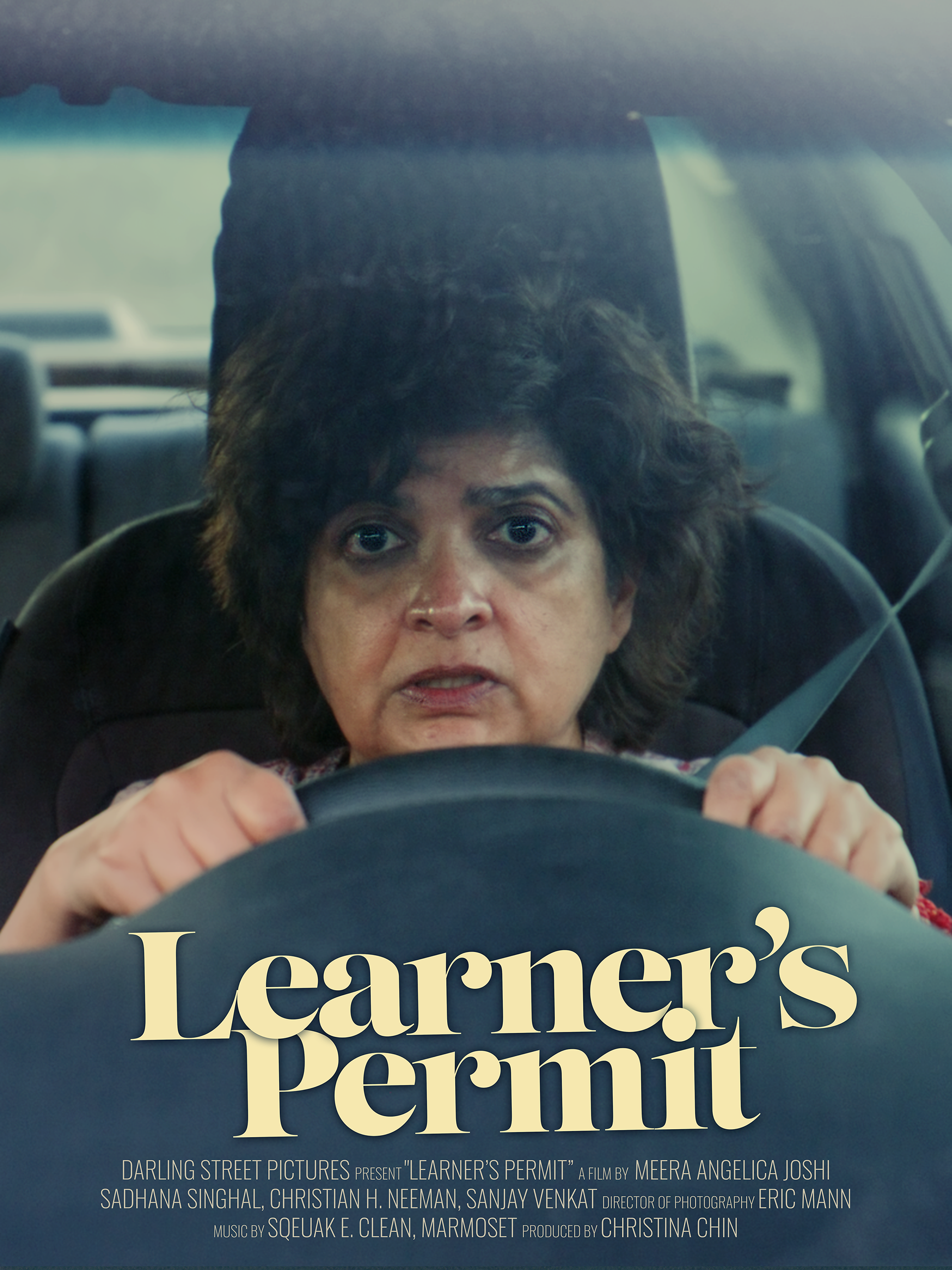 learner's permit