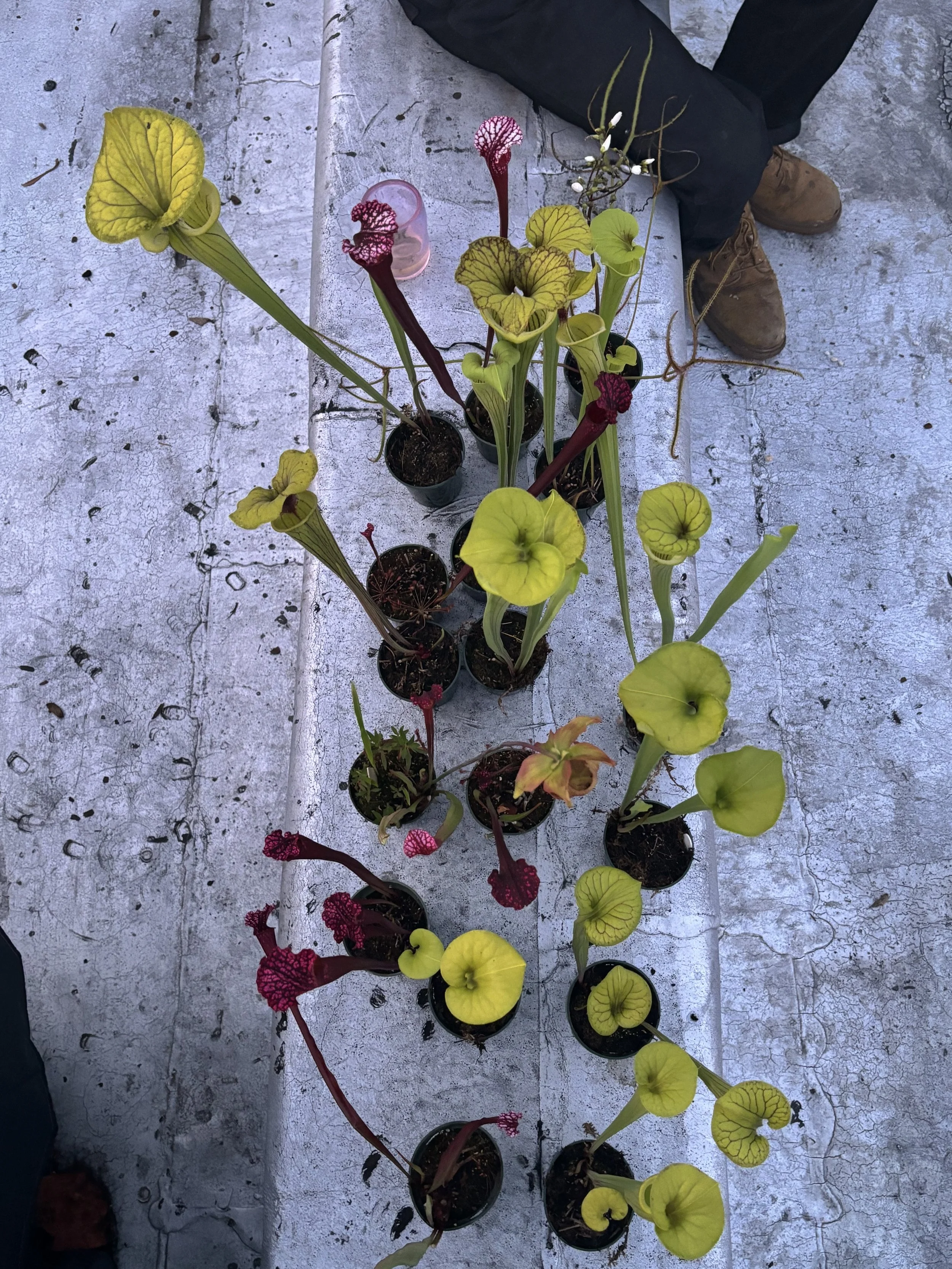 image_67514625.JPG