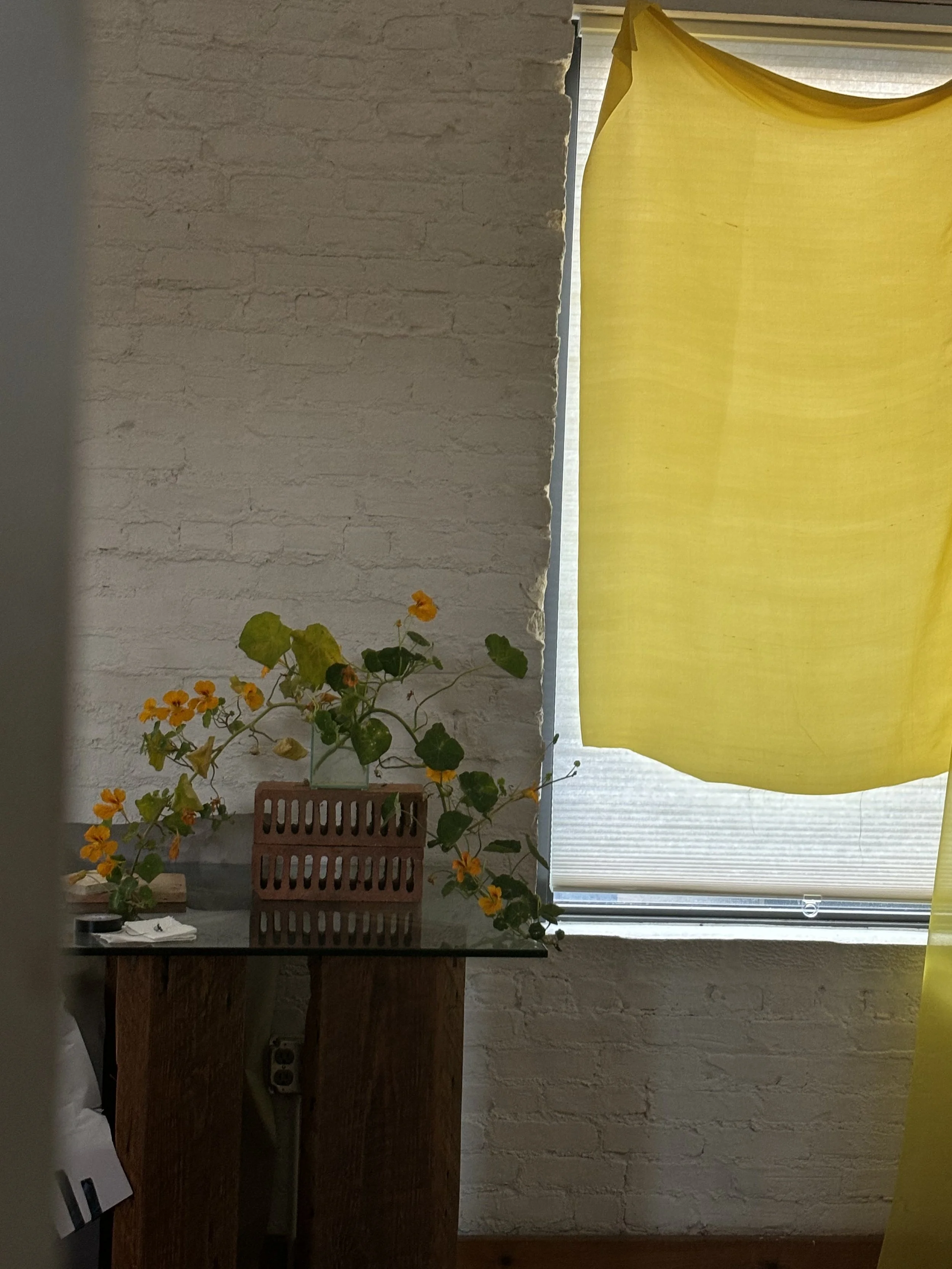 image_67166977.JPG