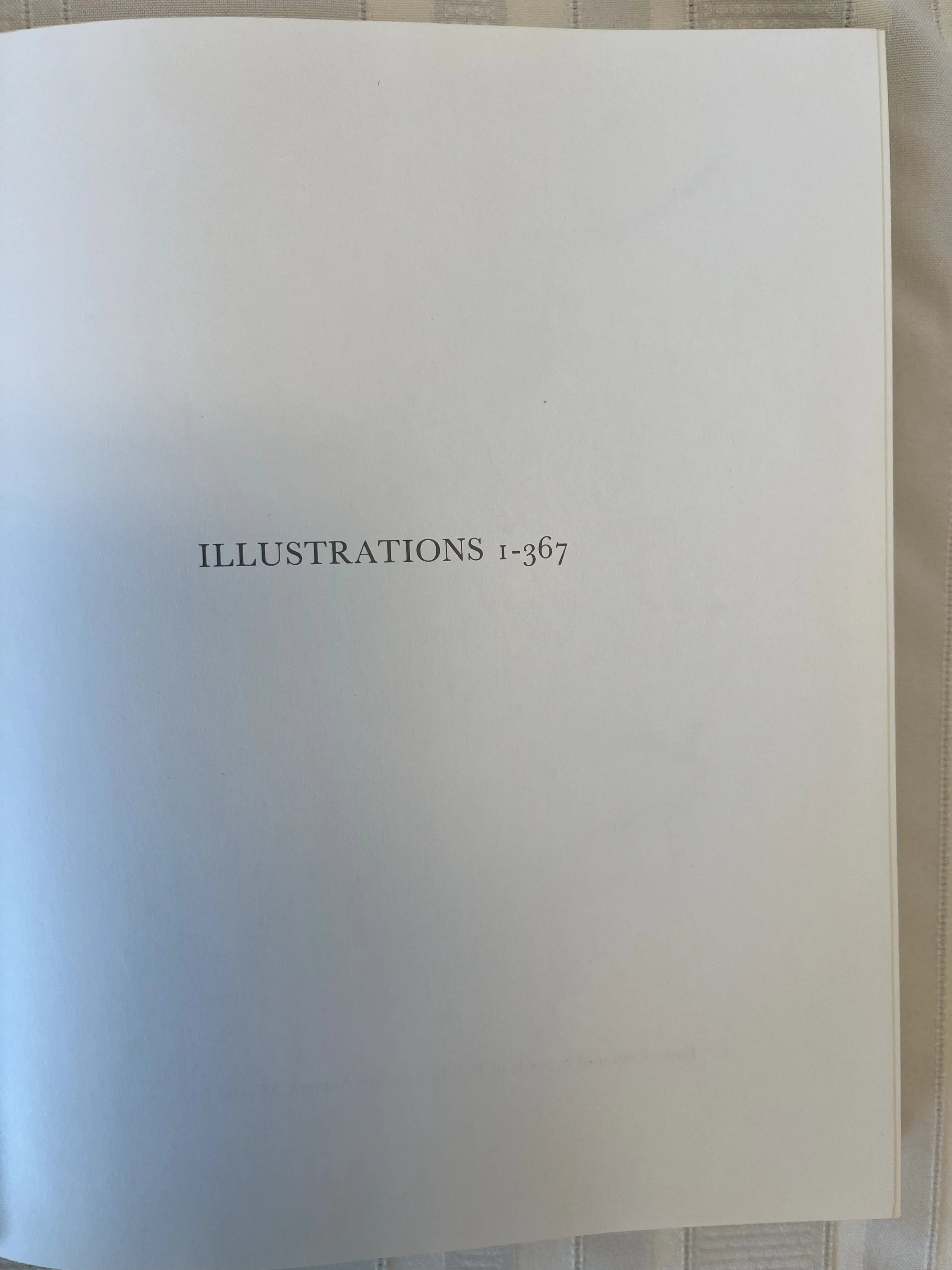 20250728_155823278_iOS.jpeg