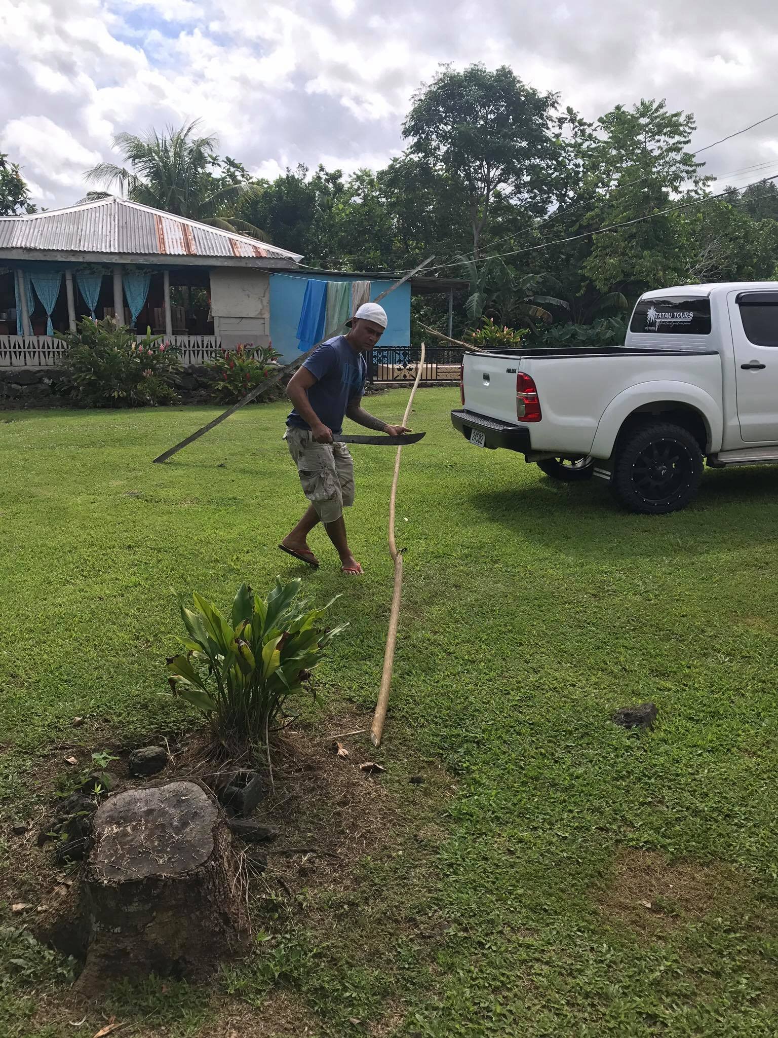 Harvesting lau uʻa