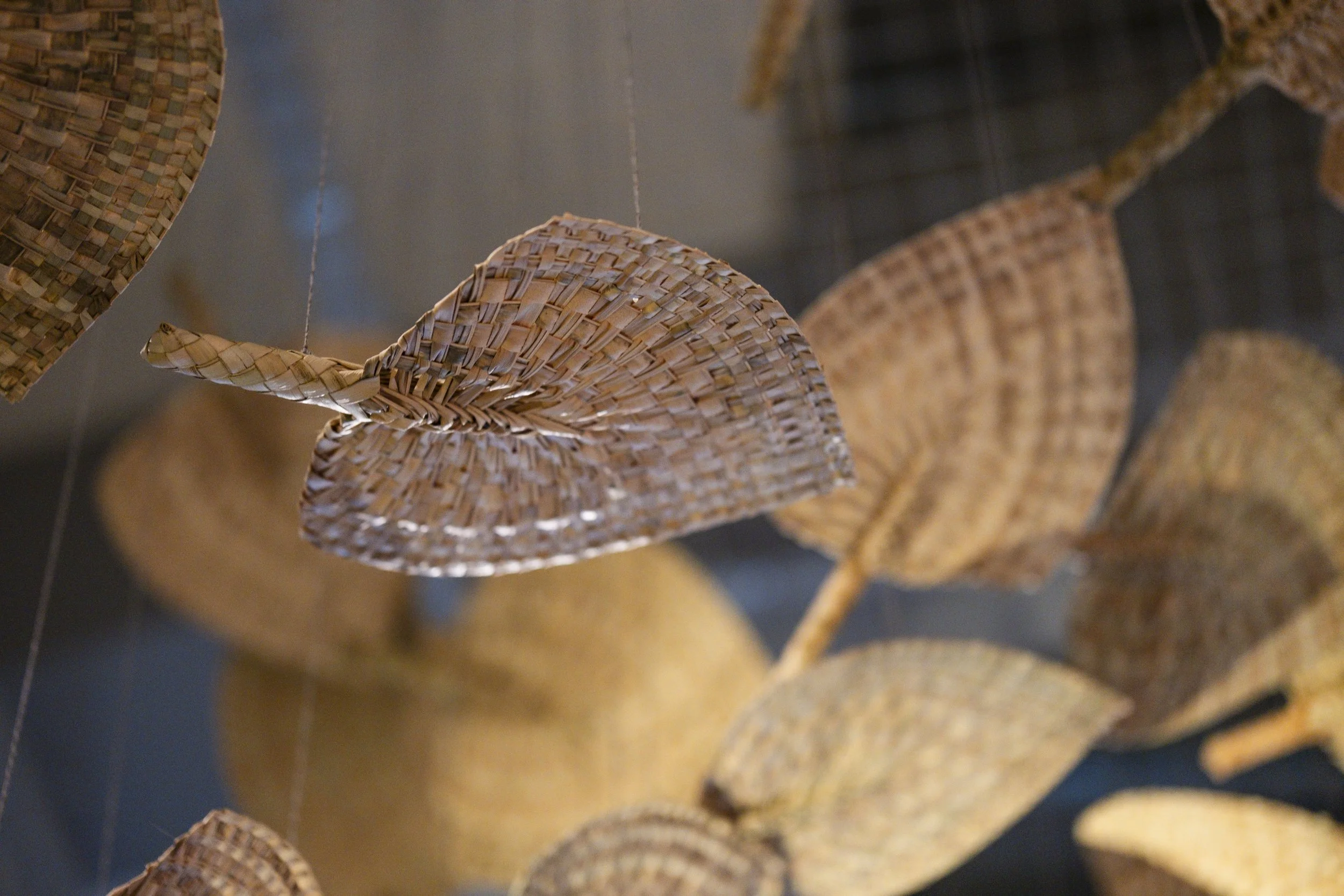  'Winds of Change' (2026) site-specific installation by Yuki Kihara. Ili supplied by The Sāmoa Victim Support Group (SVSG). Installation photo by Ted Whitaker. Courtesy of Te Pātaka Toi Adam Art Gallery, Aotearoa New Zealand. 