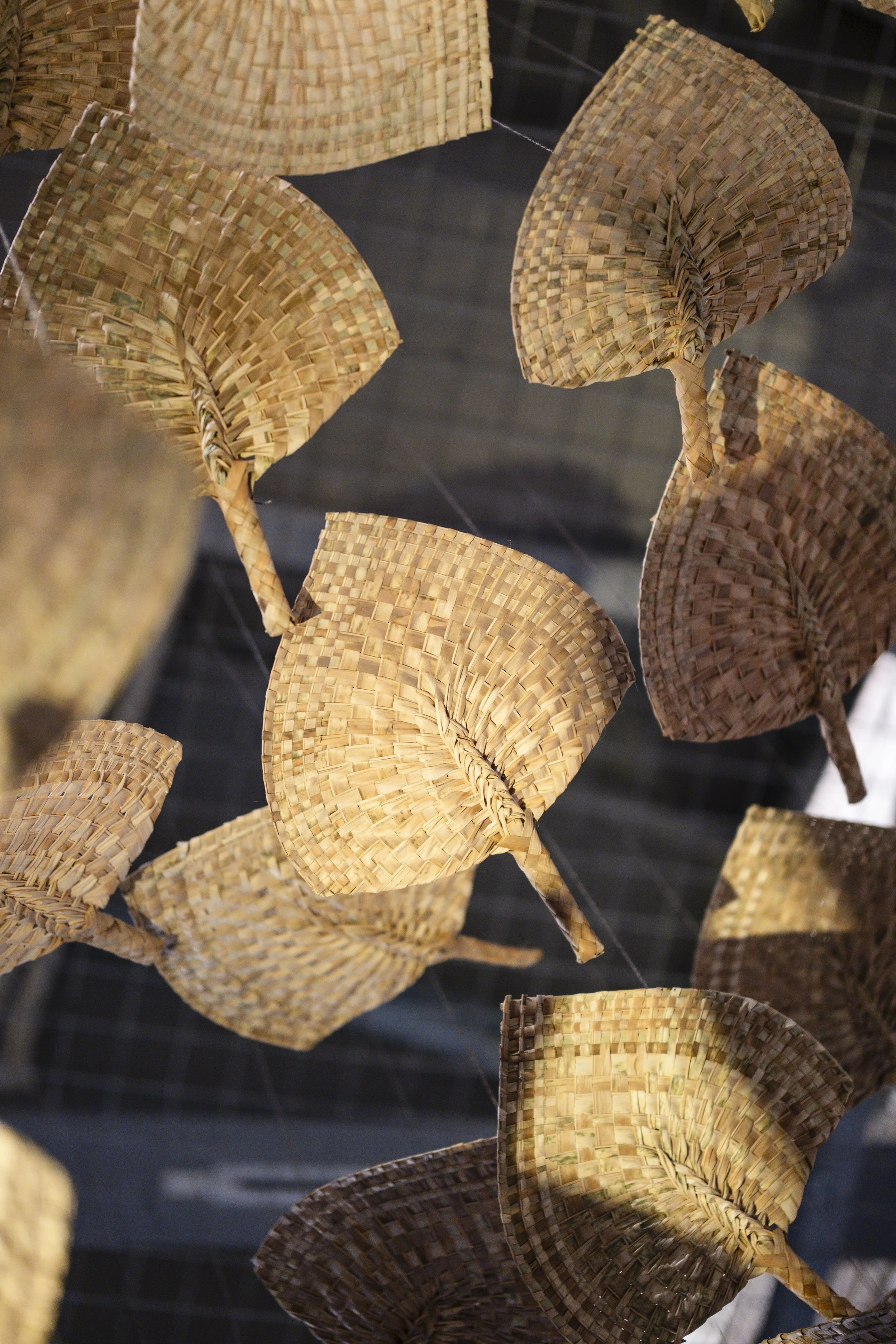  'Winds of Change' (2026) site-specific installation by Yuki Kihara. Ili supplied by The Sāmoa Victim Support Group (SVSG). Installation photo by Ted Whitaker. Courtesy of Te Pātaka Toi Adam Art Gallery, Aotearoa New Zealand. 