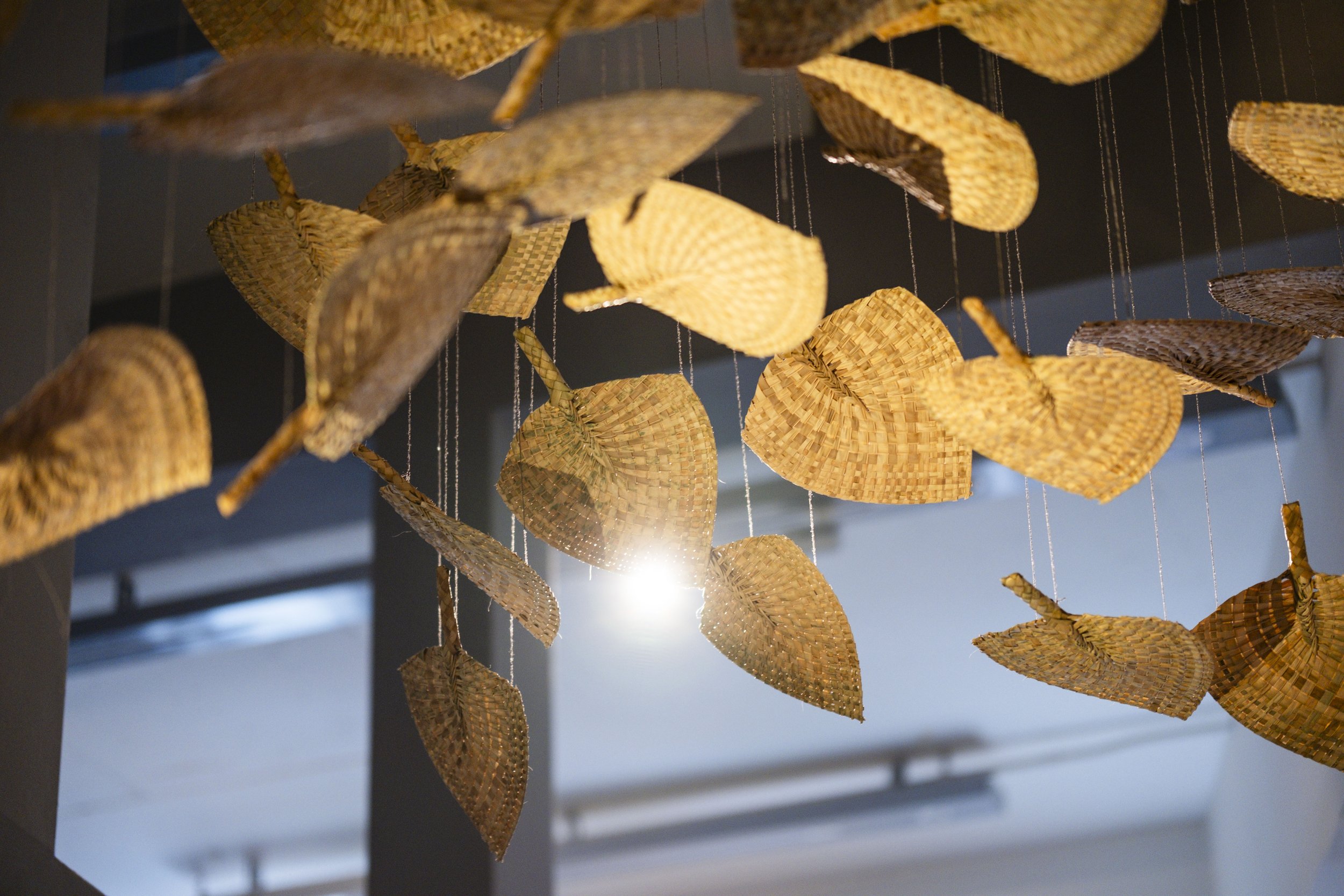  'Winds of Change' (2026) site-specific installation by Yuki Kihara. Ili supplied by The Sāmoa Victim Support Group (SVSG). Installation photo by Ted Whitaker. Courtesy of Te Pātaka Toi Adam Art Gallery, Aotearoa New Zealand. 