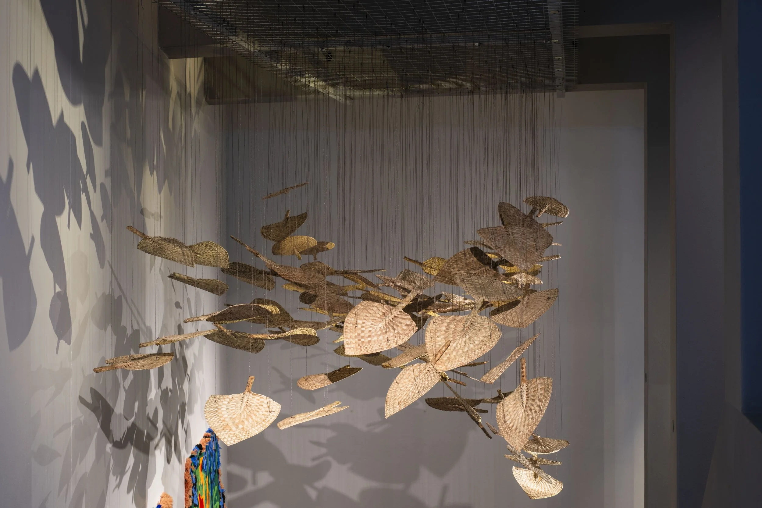  'Winds of Change' (2026) site-specific installation by Yuki Kihara. Ili supplied by The Sāmoa Victim Support Group (SVSG). Installation photo by Ted Whitaker. Courtesy of Te Pātaka Toi Adam Art Gallery, Aotearoa New Zealand. 