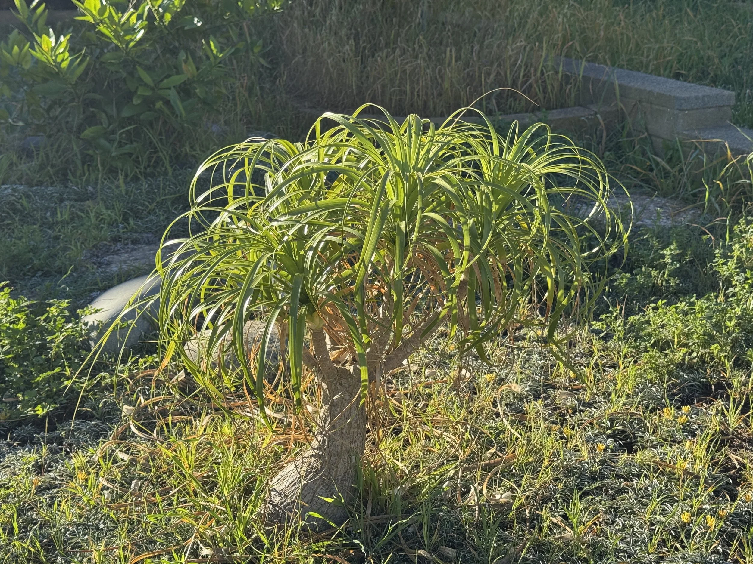 Experiencing Green - Time in Nature