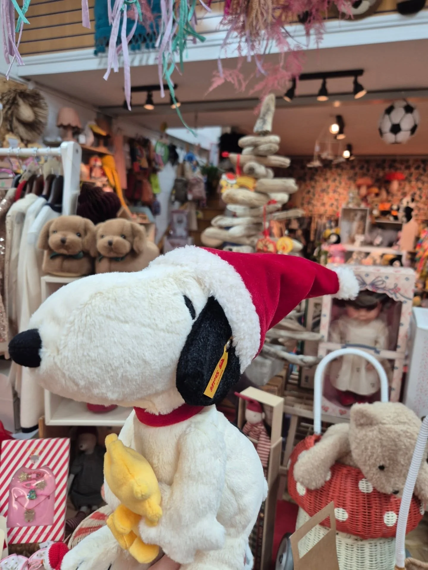 🎄 Oh, what a busy last 10 days! 🎁
We&rsquo;ve been unpacking so many new Christmas deliveries and re-shuffling shelves to fit it all in &mdash; the shop is looking magical! ✨

Our cashmere &amp; lambswool baby blankets make the coziest gifts for li