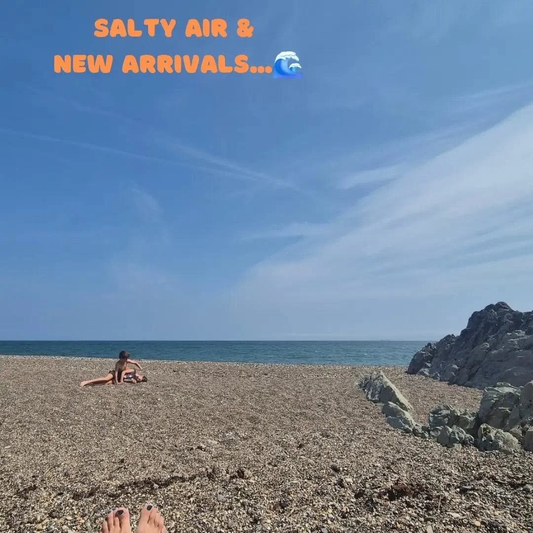 ​Salty air &amp; new arrivals... 🌊☀️

​We&rsquo;ve been soaking up every single second of this gorgeous sunshine down on the beach here in Greystones, but behind the scenes, the shop has been absolutely buzzing with stunning new deliveries! 📦

​Swi