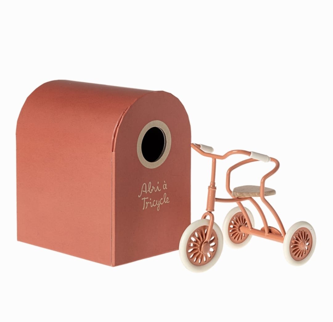 Abris_a_tricycle_coral (1).jpeg