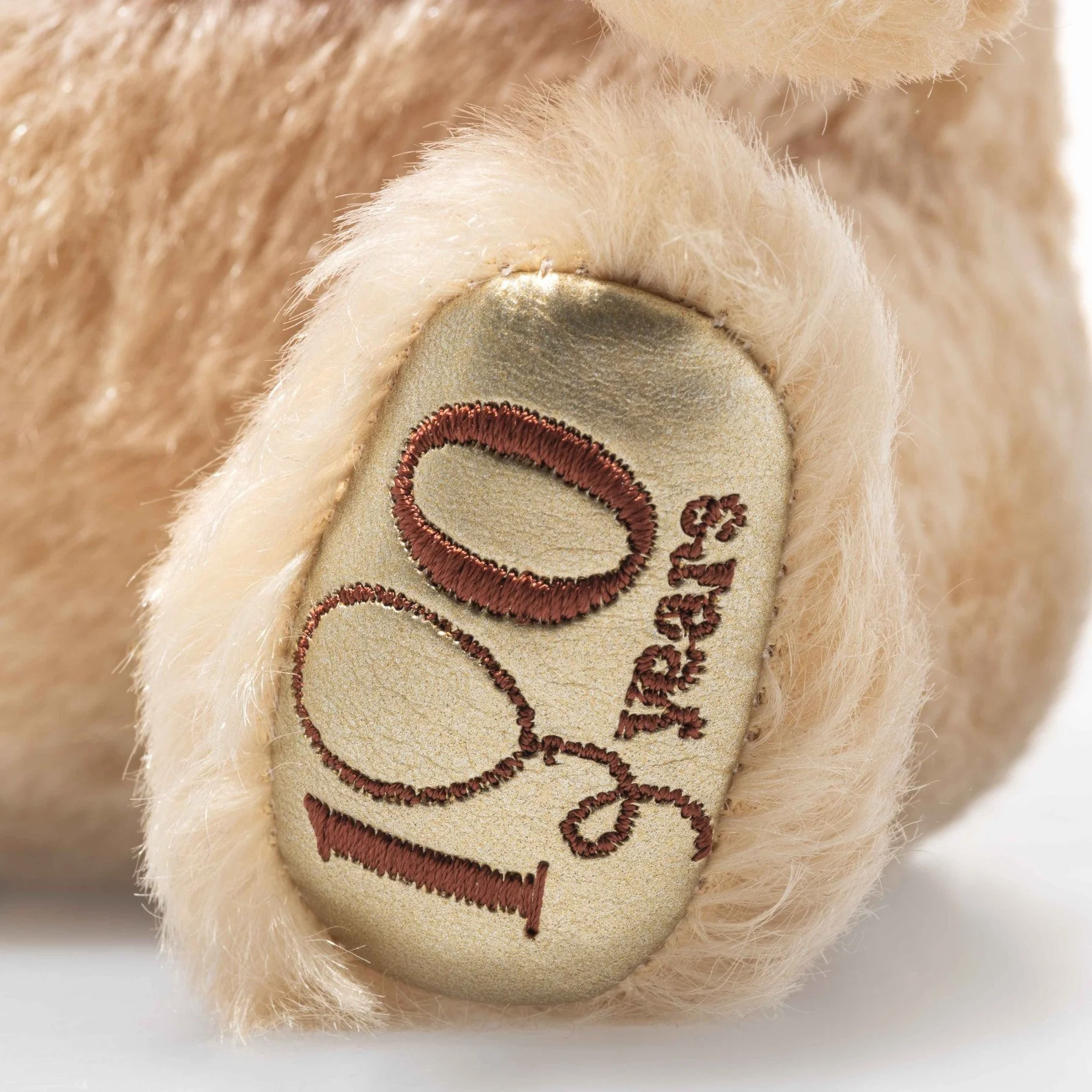 disney-winnie-the-pooh-100th-anniversary-close-up-foot2.jpg