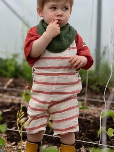 Toddler 