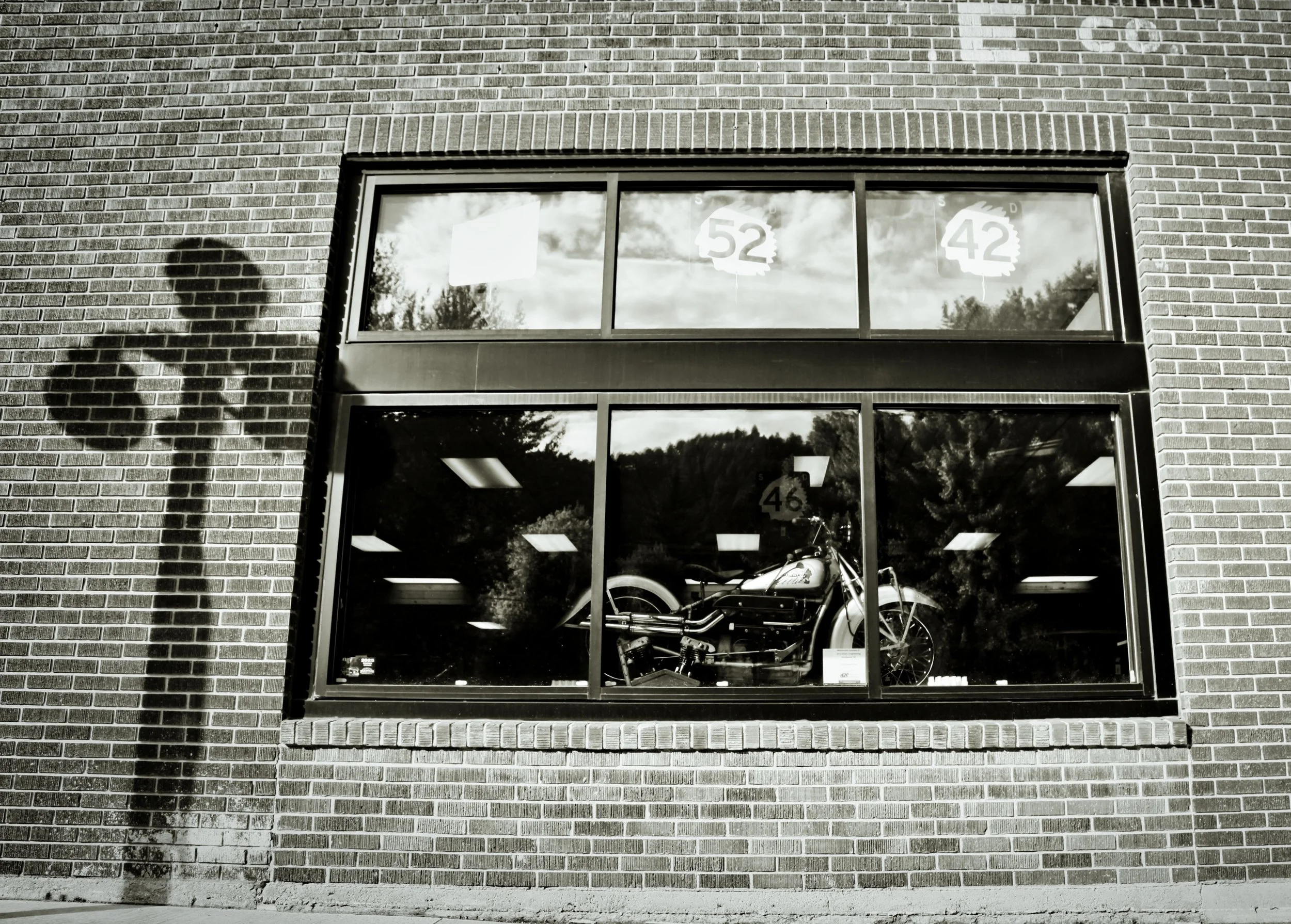 Window Dreams