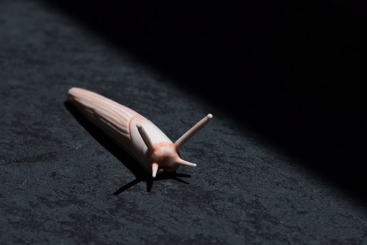 -orange striped slug-
Have a good weekend 🖤
.
.
.
.
.
.
.
#slug #porcelainslug #porcelainsculpture #cuirdur #contemporaryceramics #ceramicart #madeinla #sustainableliving #playwithmud #ceramicstudio #ceramic #handmadeceramic #craftwomanship #femalea