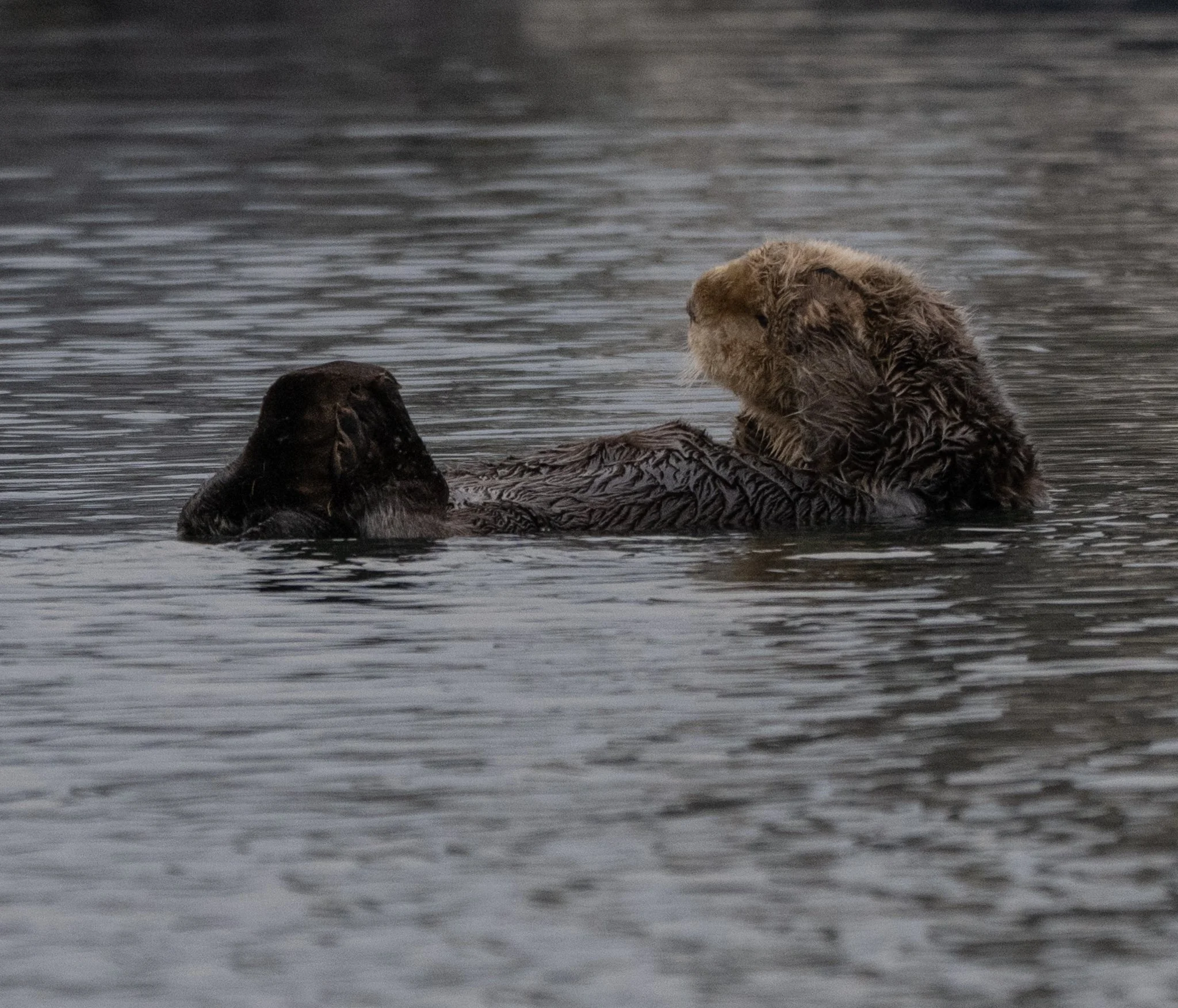 alaska-13.jpg