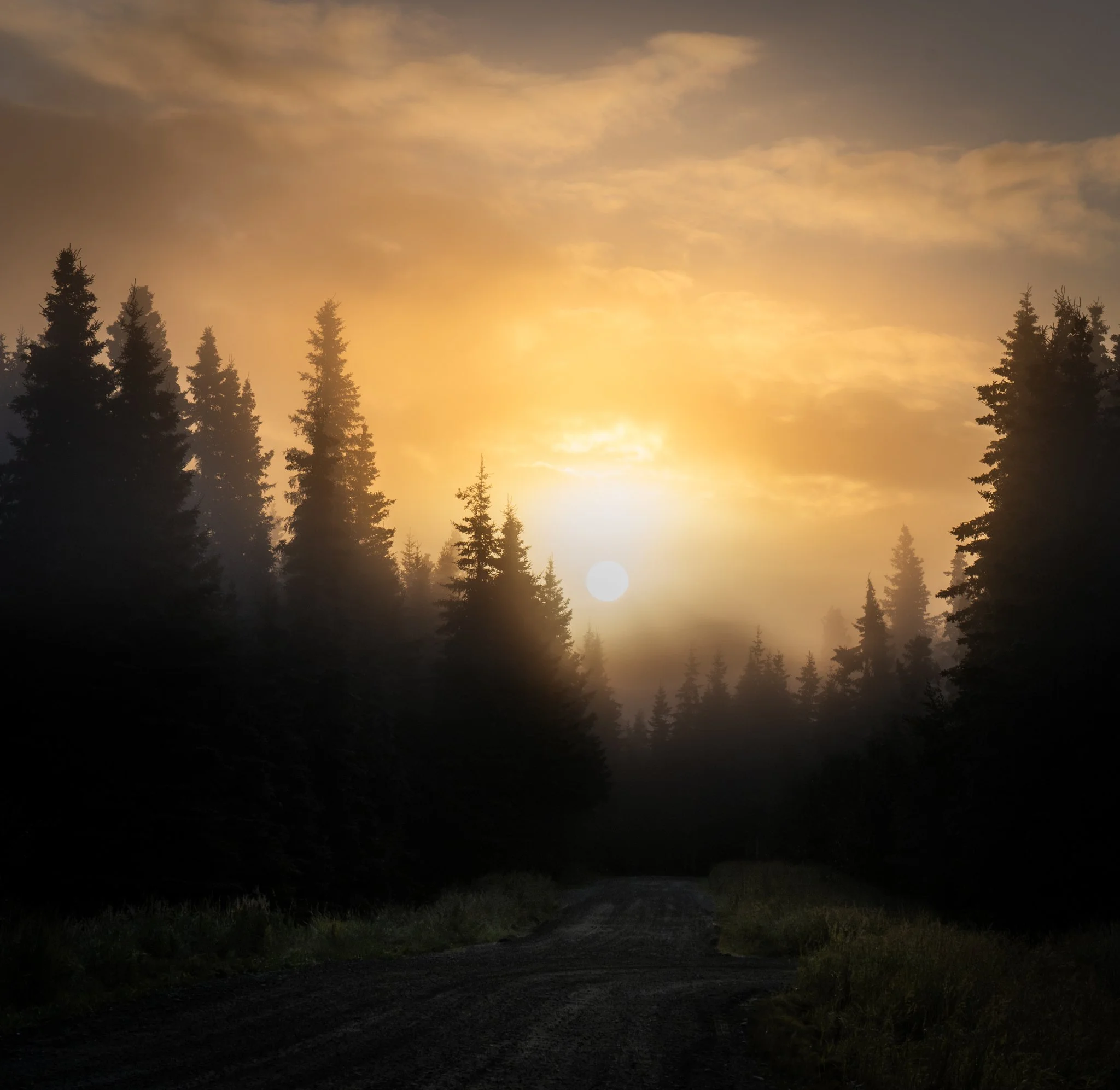 alaska-10.jpg
