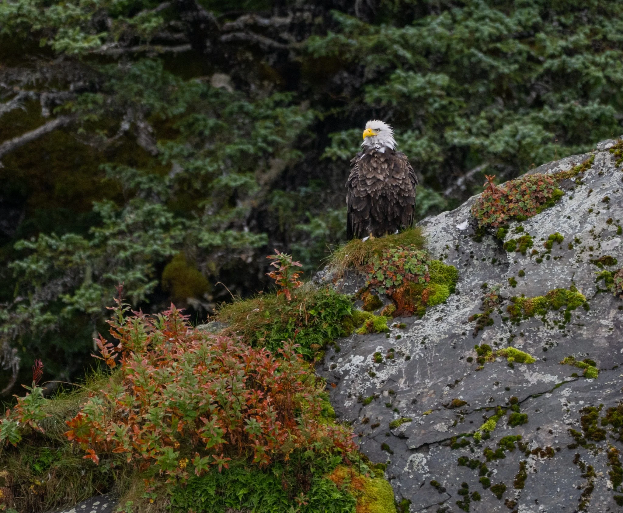 alaska-54.jpg