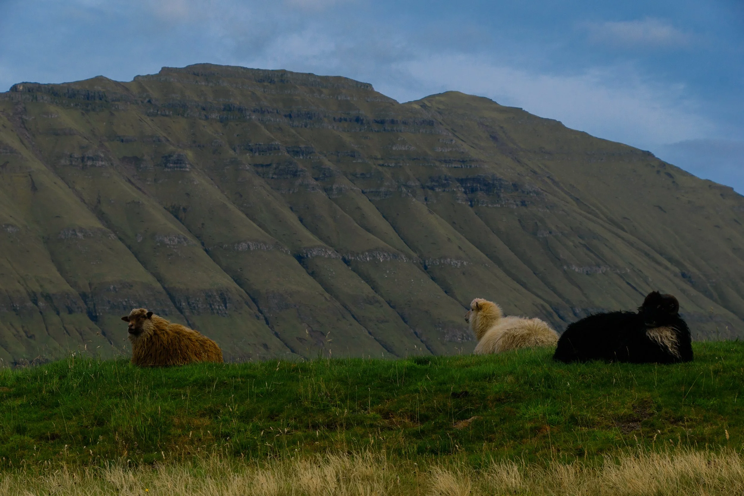 Faroe-70.jpg