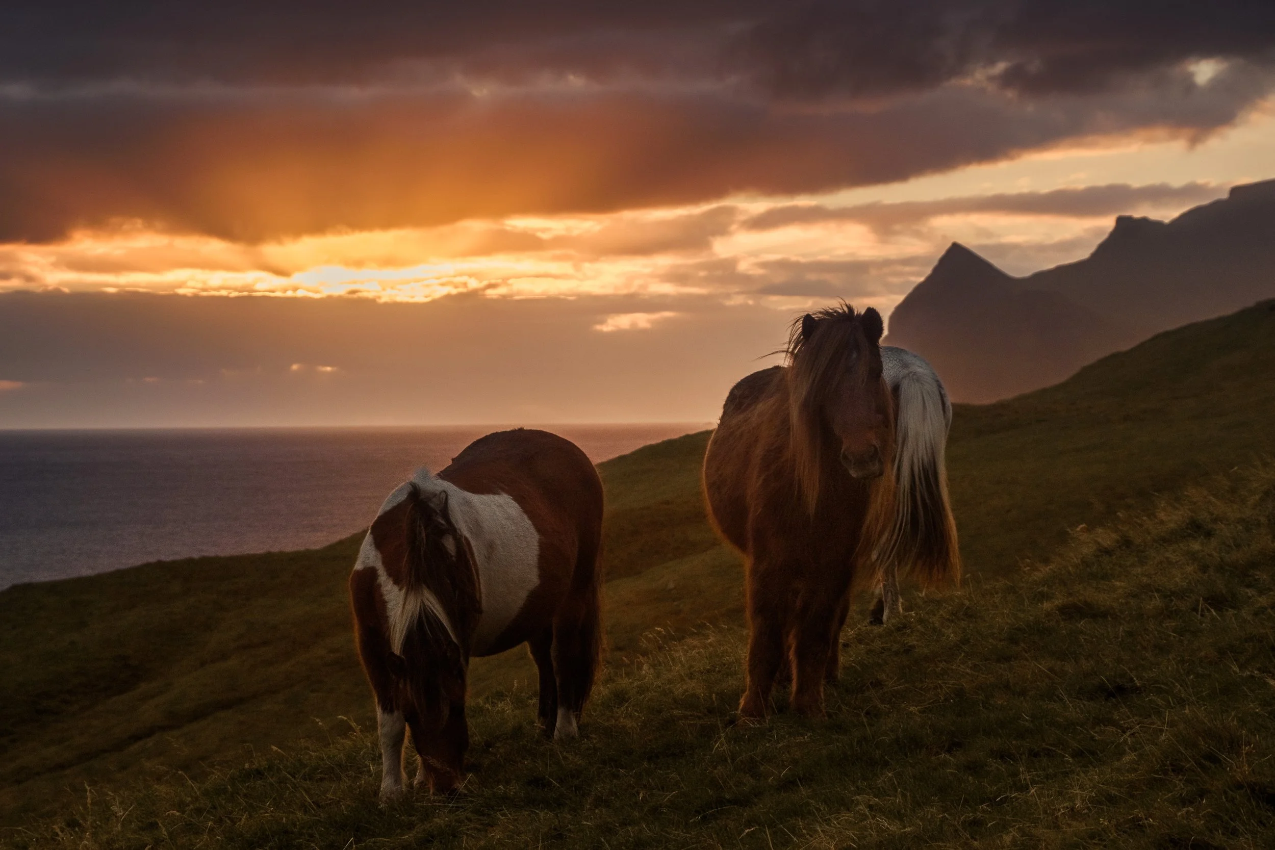 Faroe-61.jpg