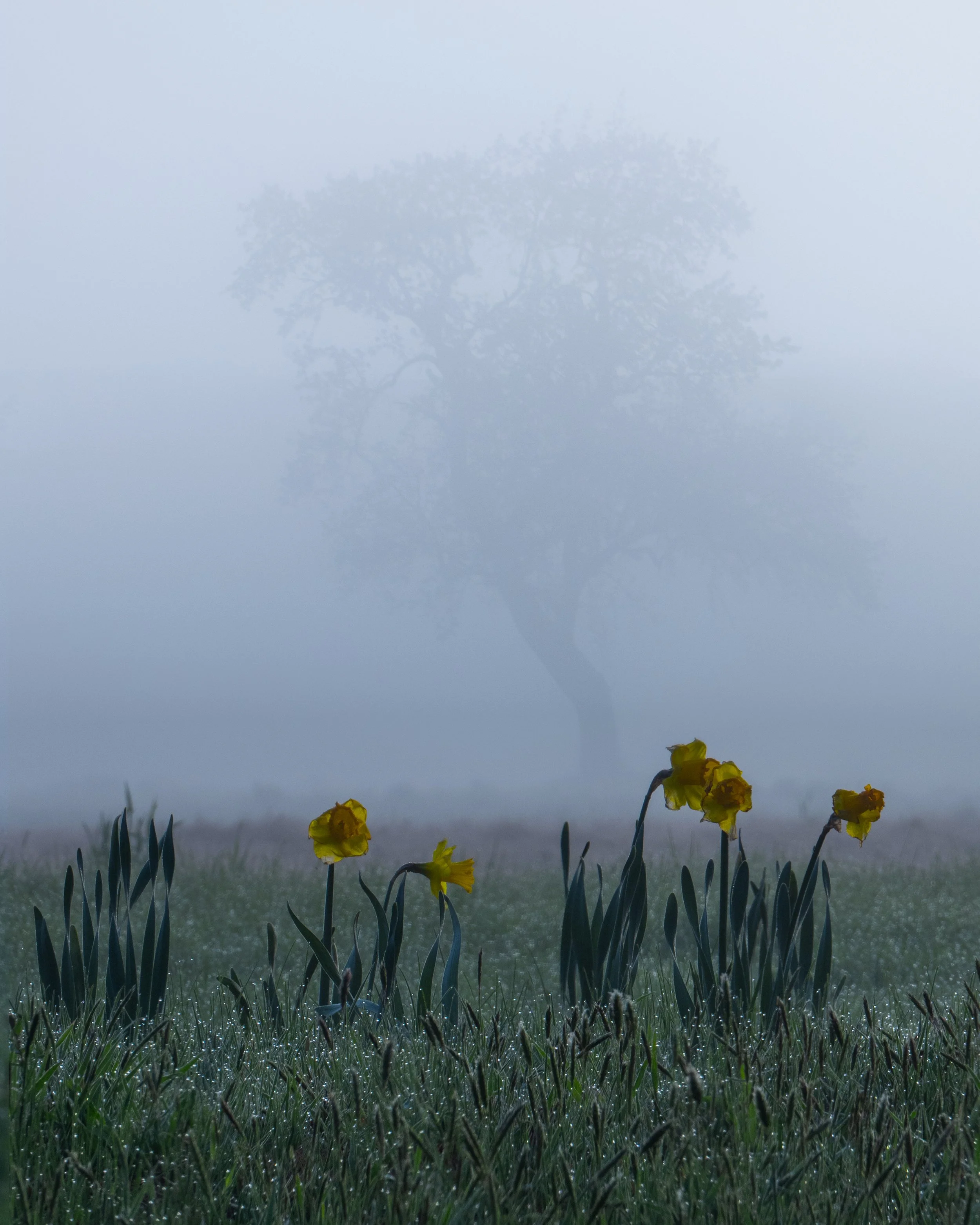 prints6.3-9.jpg