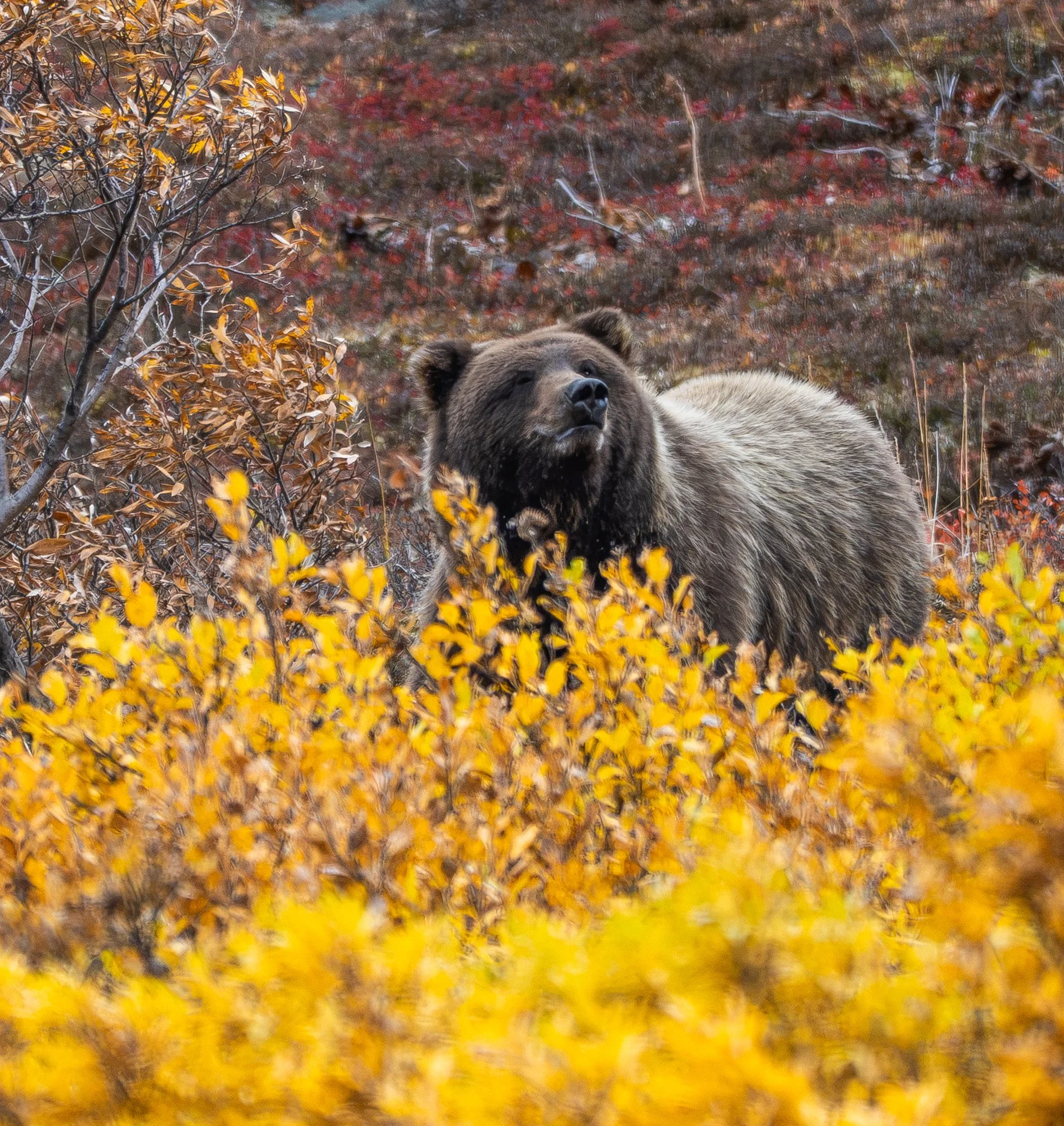 alaska-20.jpg