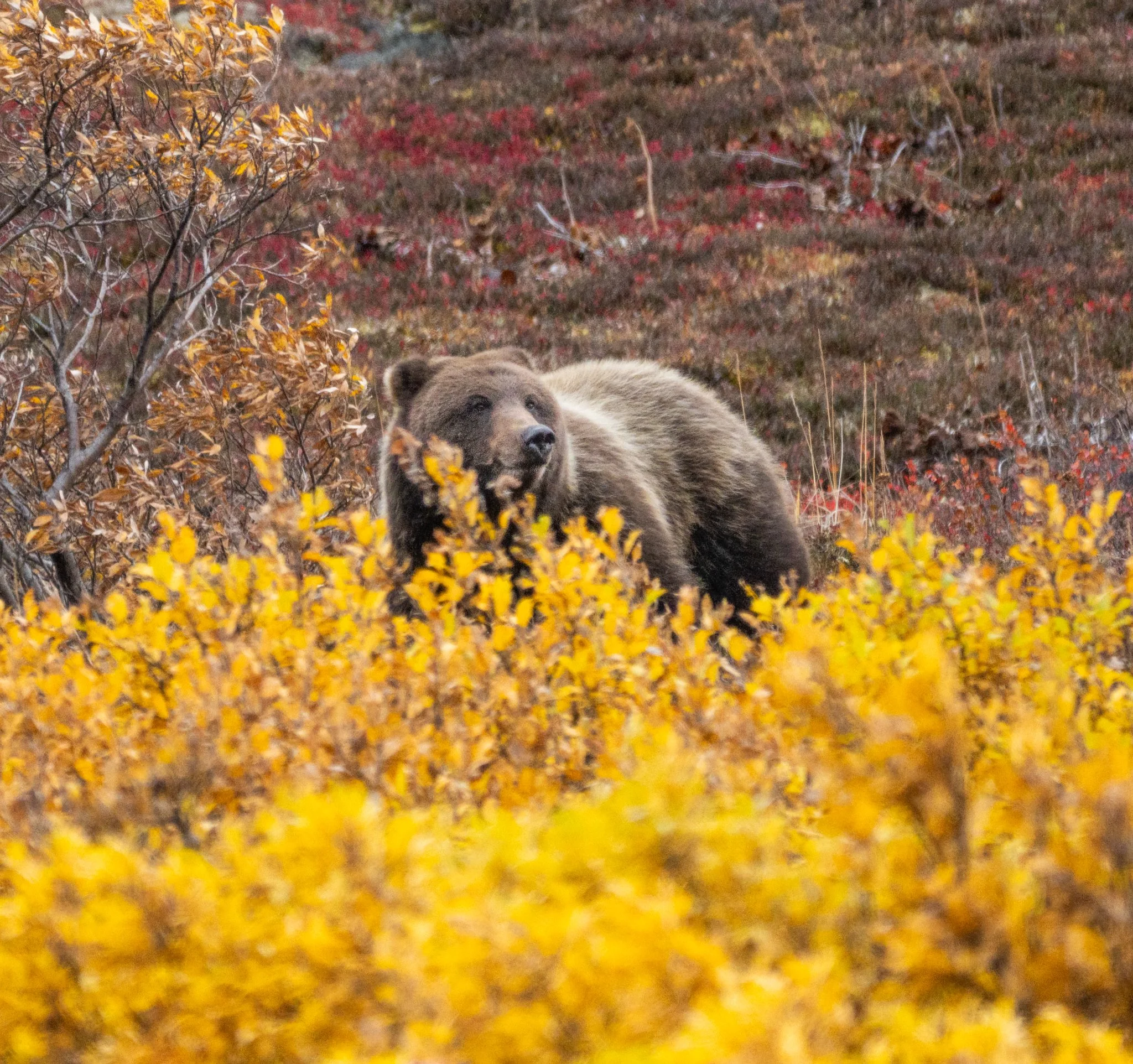 alaska-19.jpg