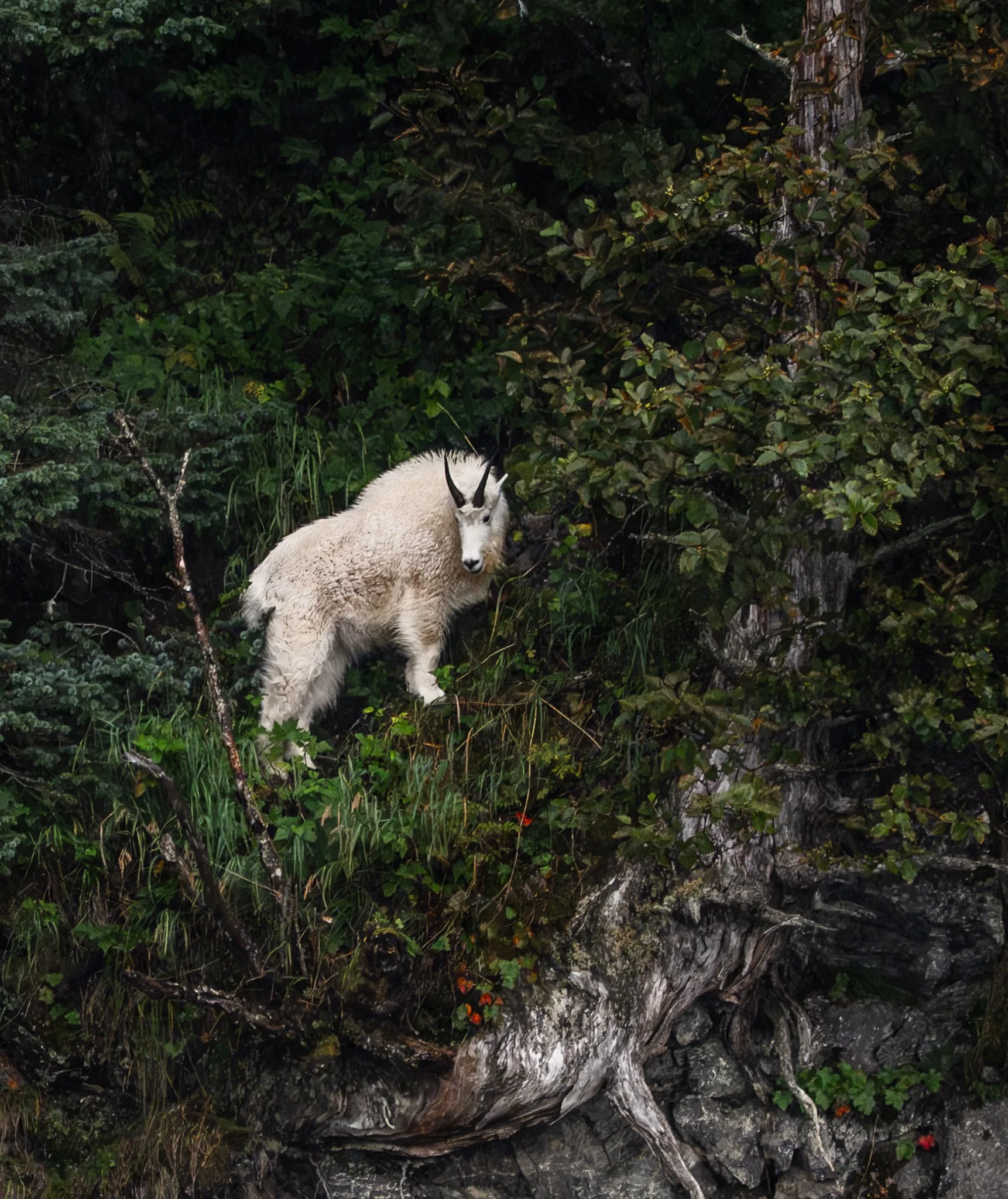 alaska-58.jpg