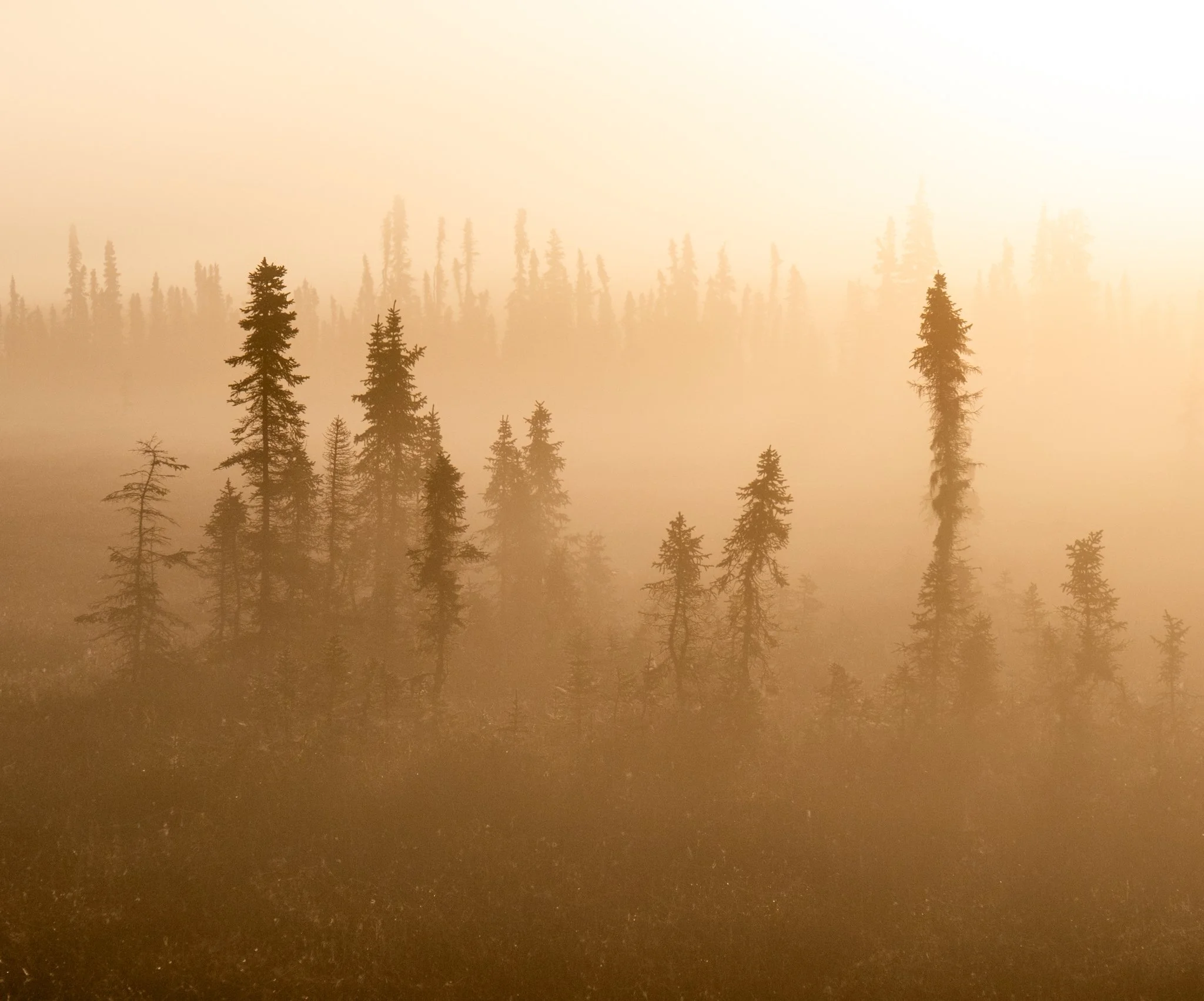 alaska-12.jpg