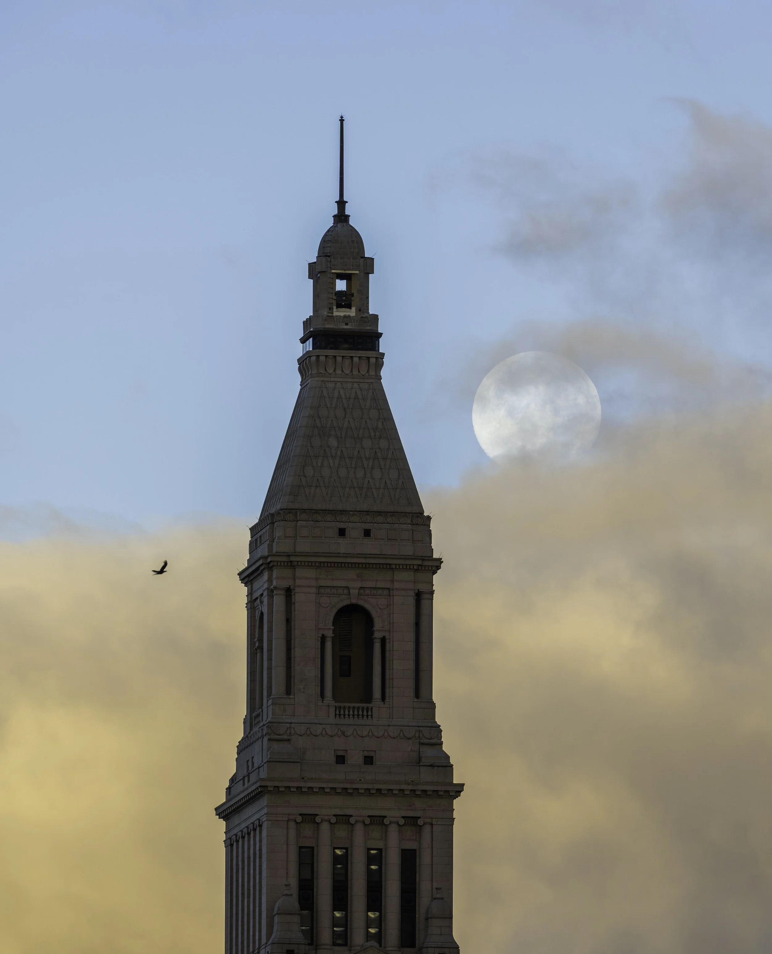 _DSC2847-Edit copy.jpg