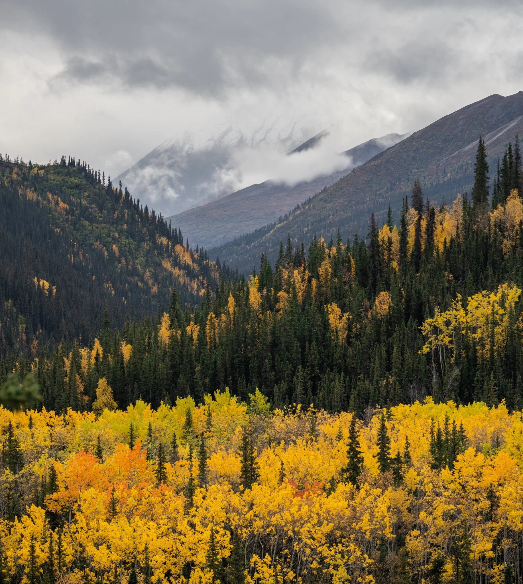 alaska-28.jpg