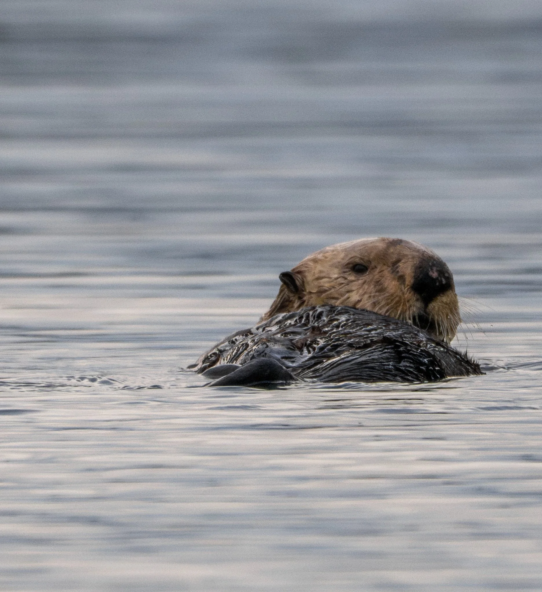 alaska-14.jpg