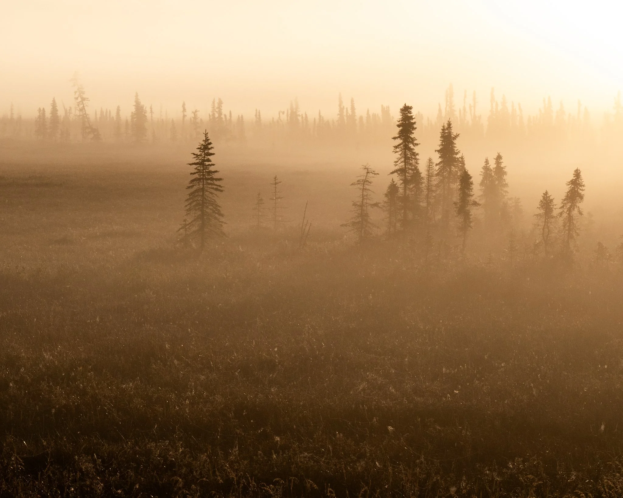alaska-11.jpg