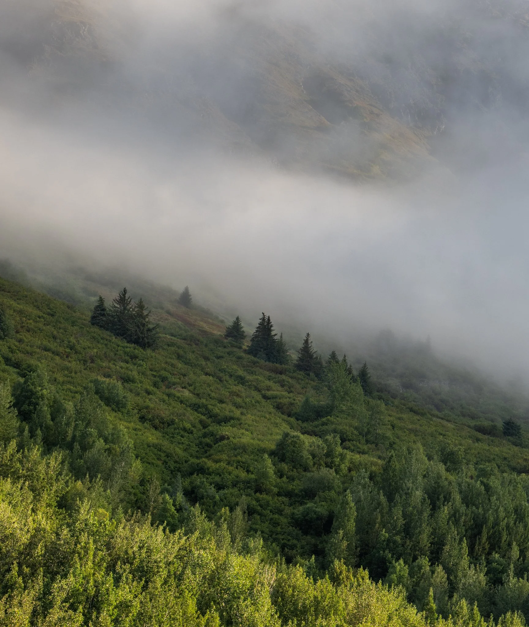 alaska-4.jpg