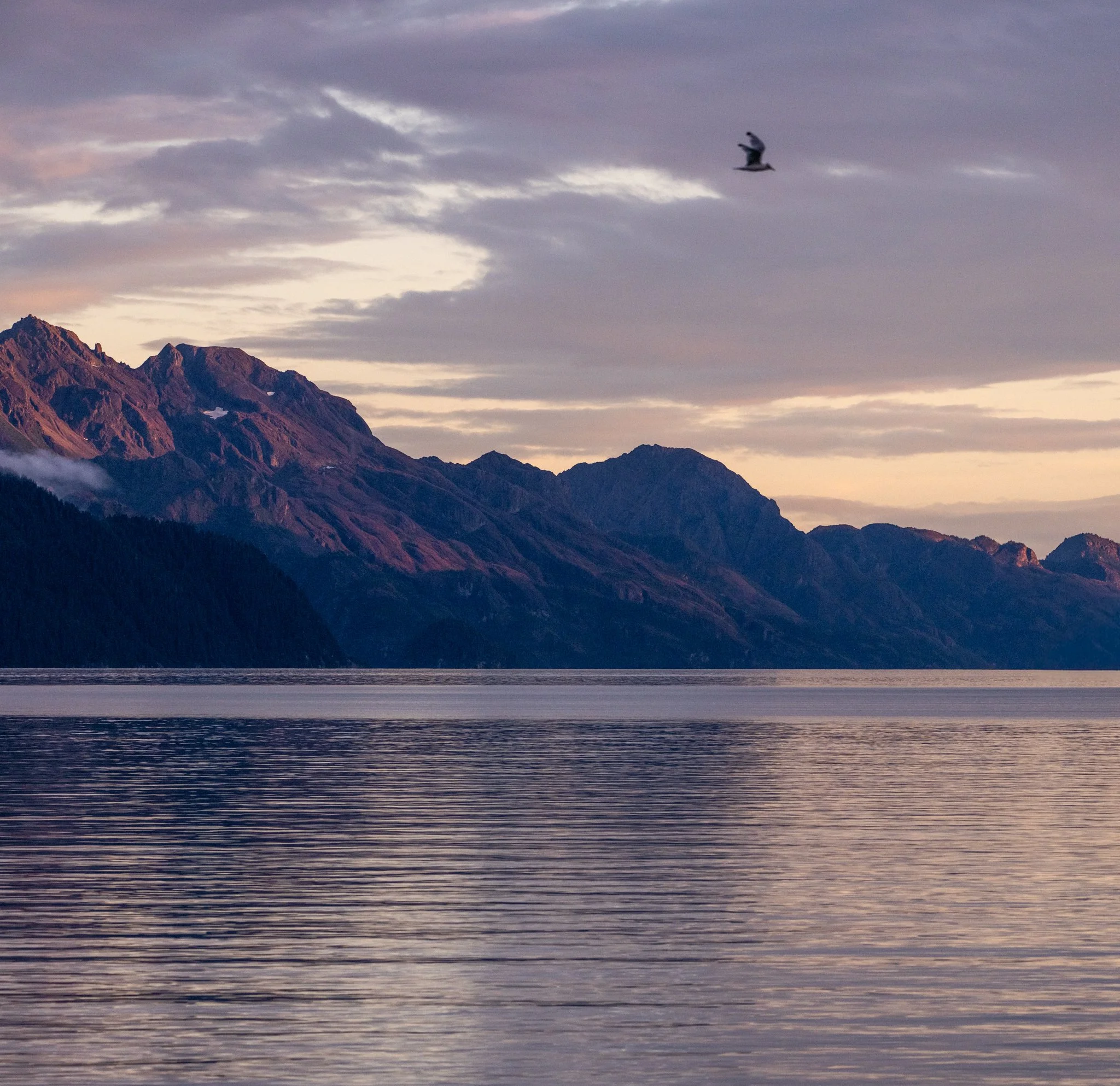 alaska-50.jpg