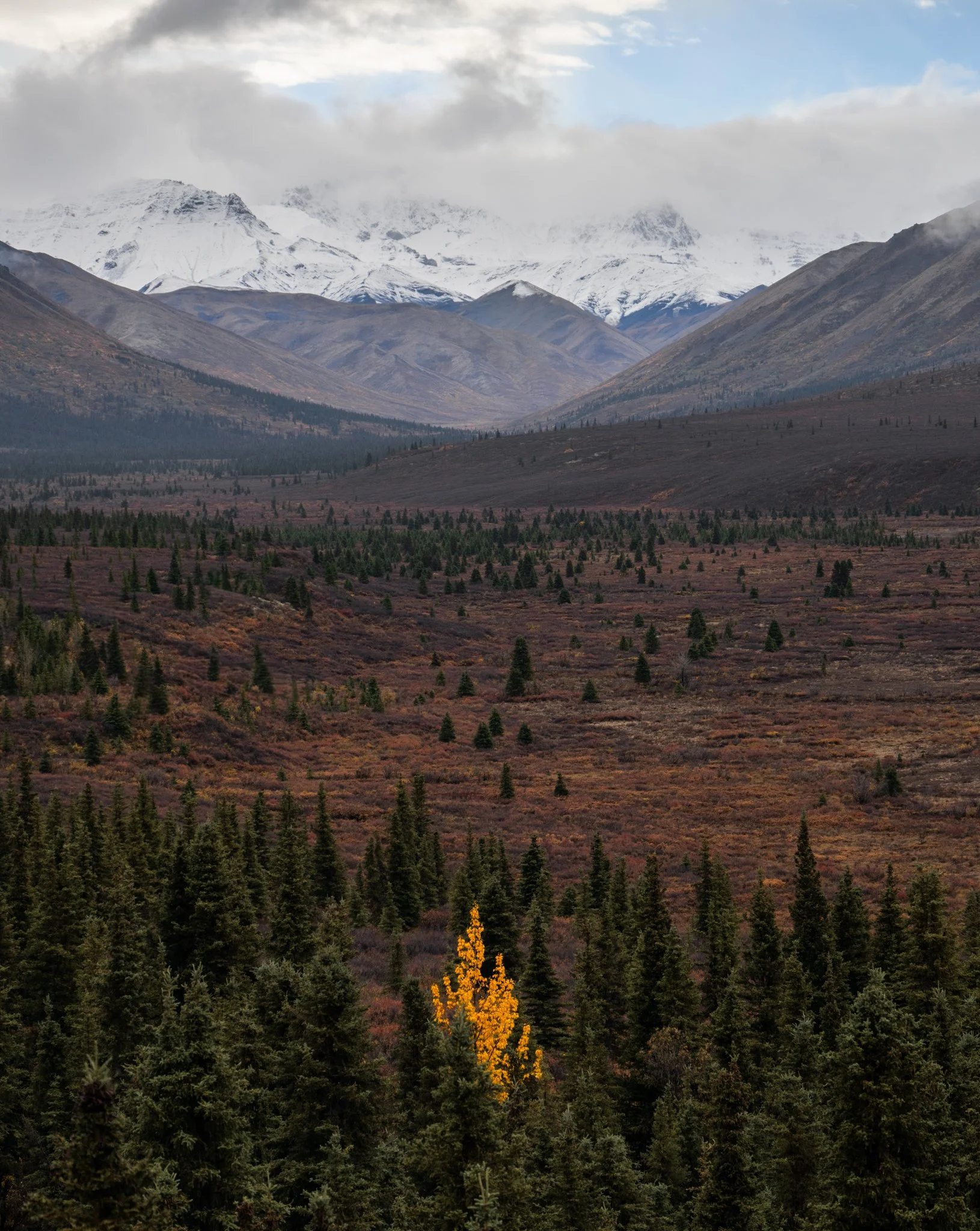 alaska-27.jpg