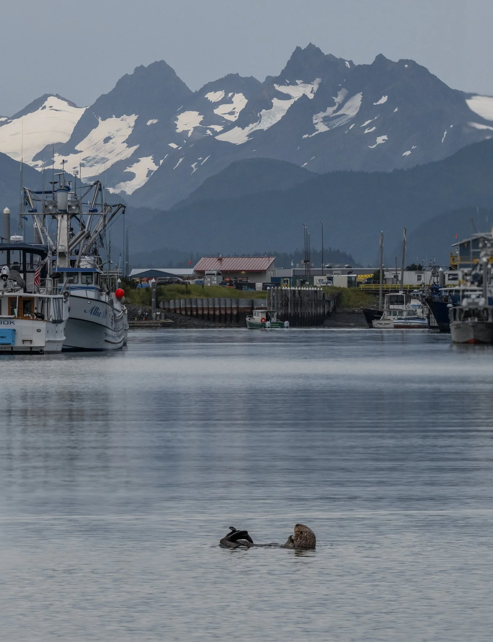 alaska-15.jpg