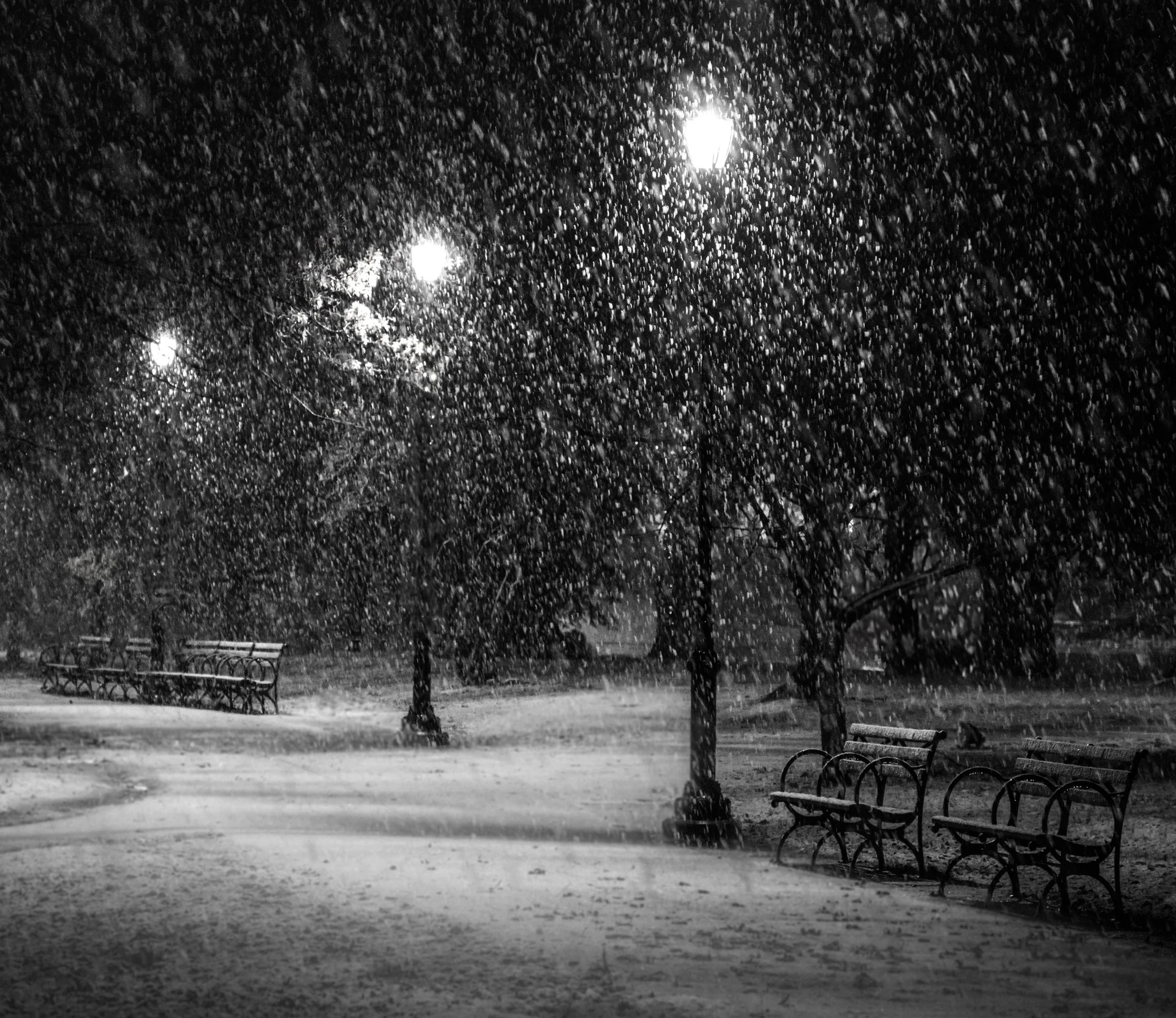 bushnellsnow.jpg